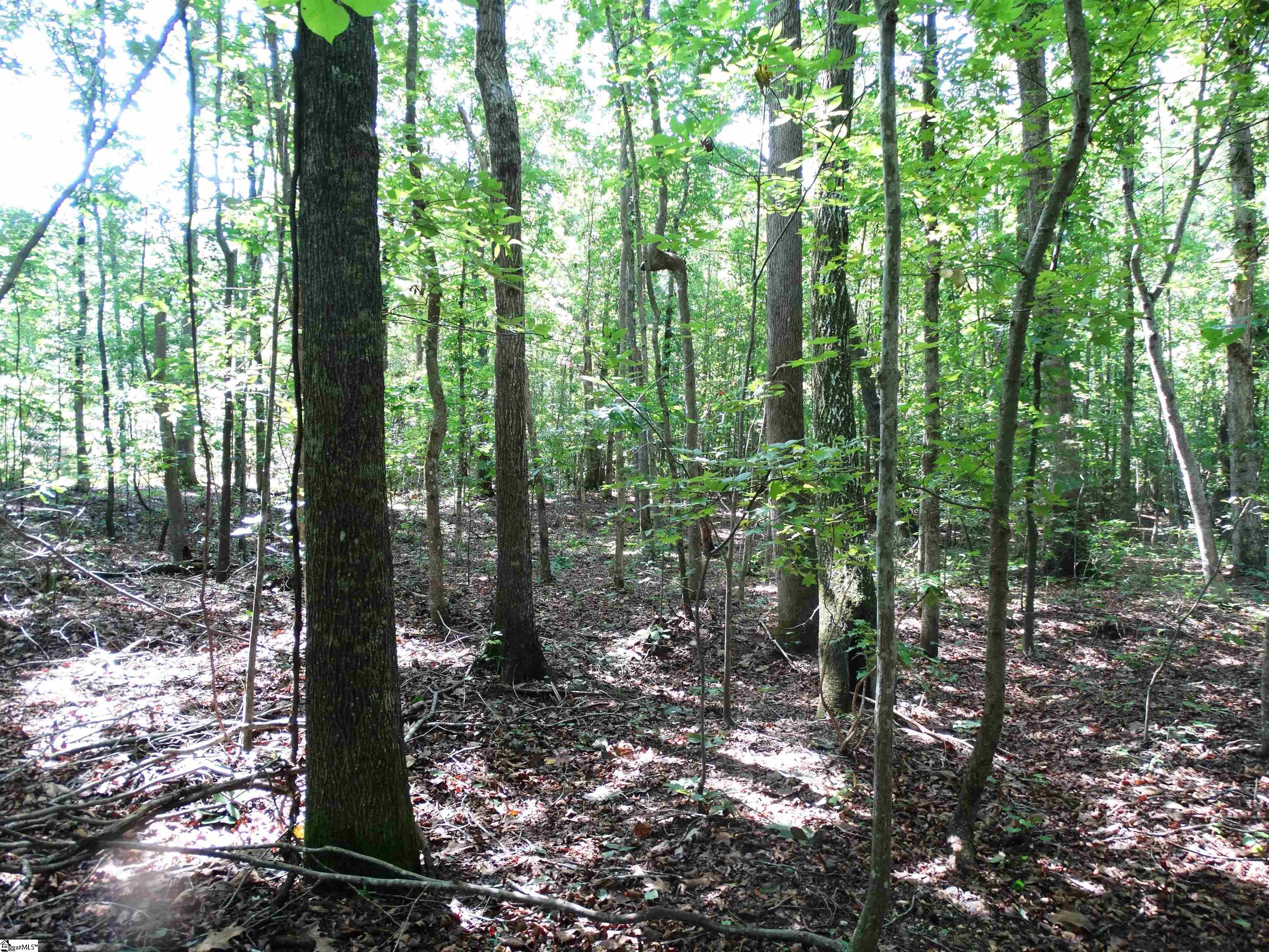 76 Tanyard Road Property Photo 4