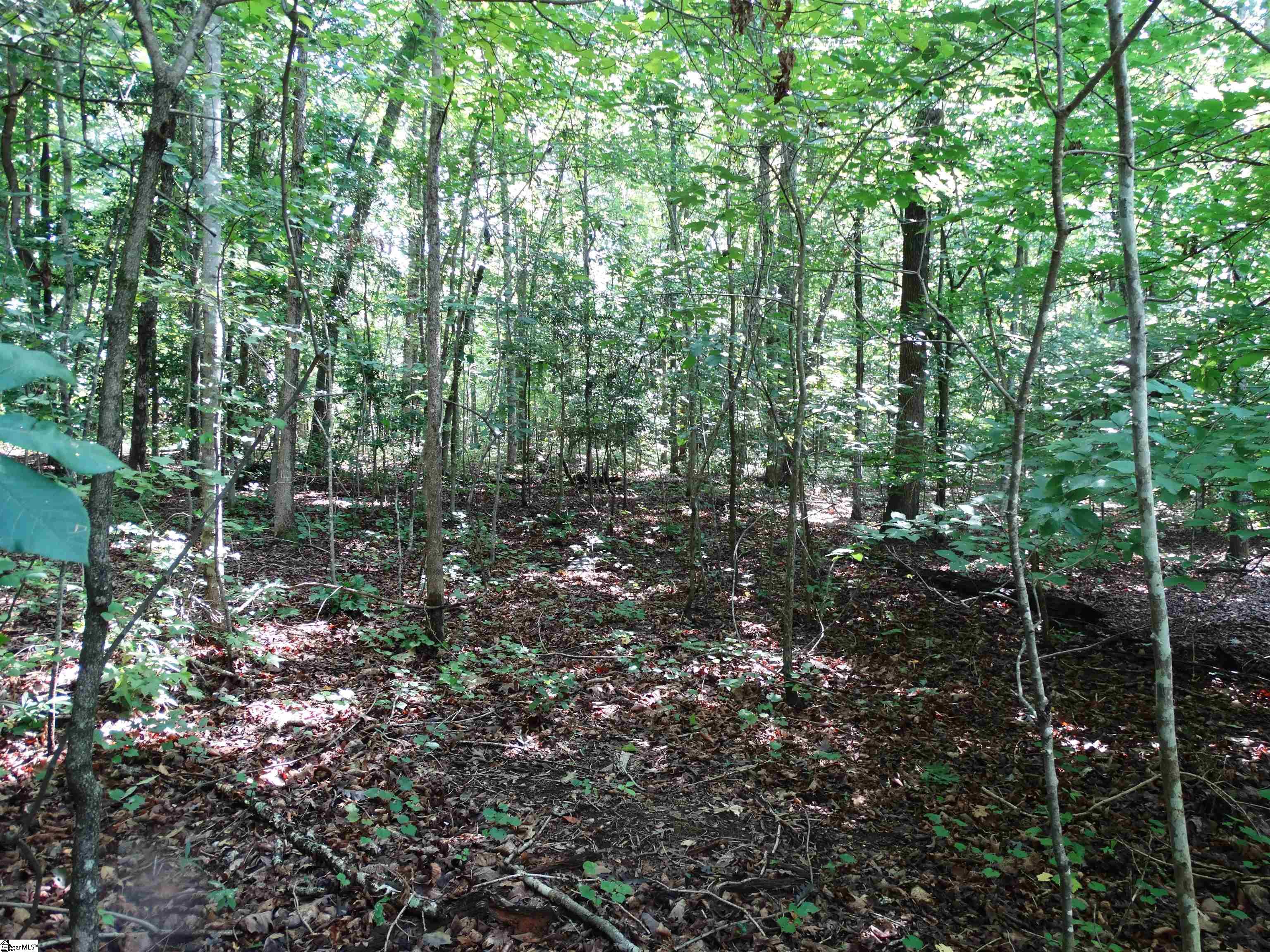 76 Tanyard Road Property Photo 5