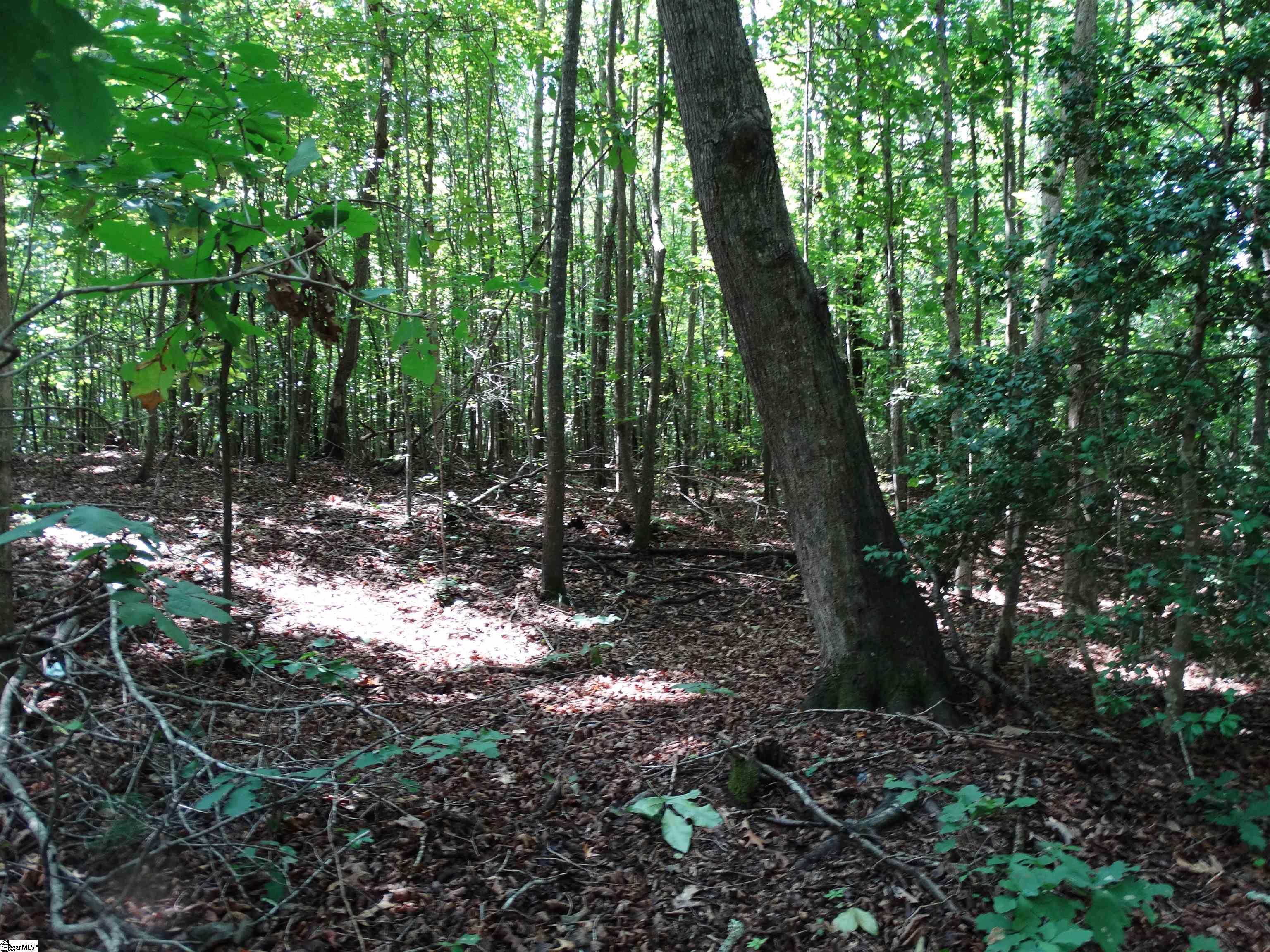 76 Tanyard Road Property Photo 8
