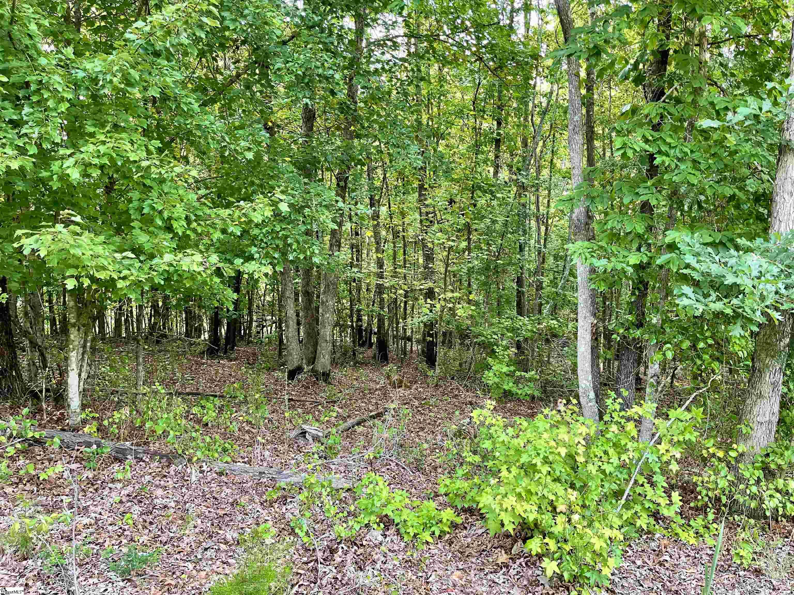 480 Green Lake Road Property Photo 41