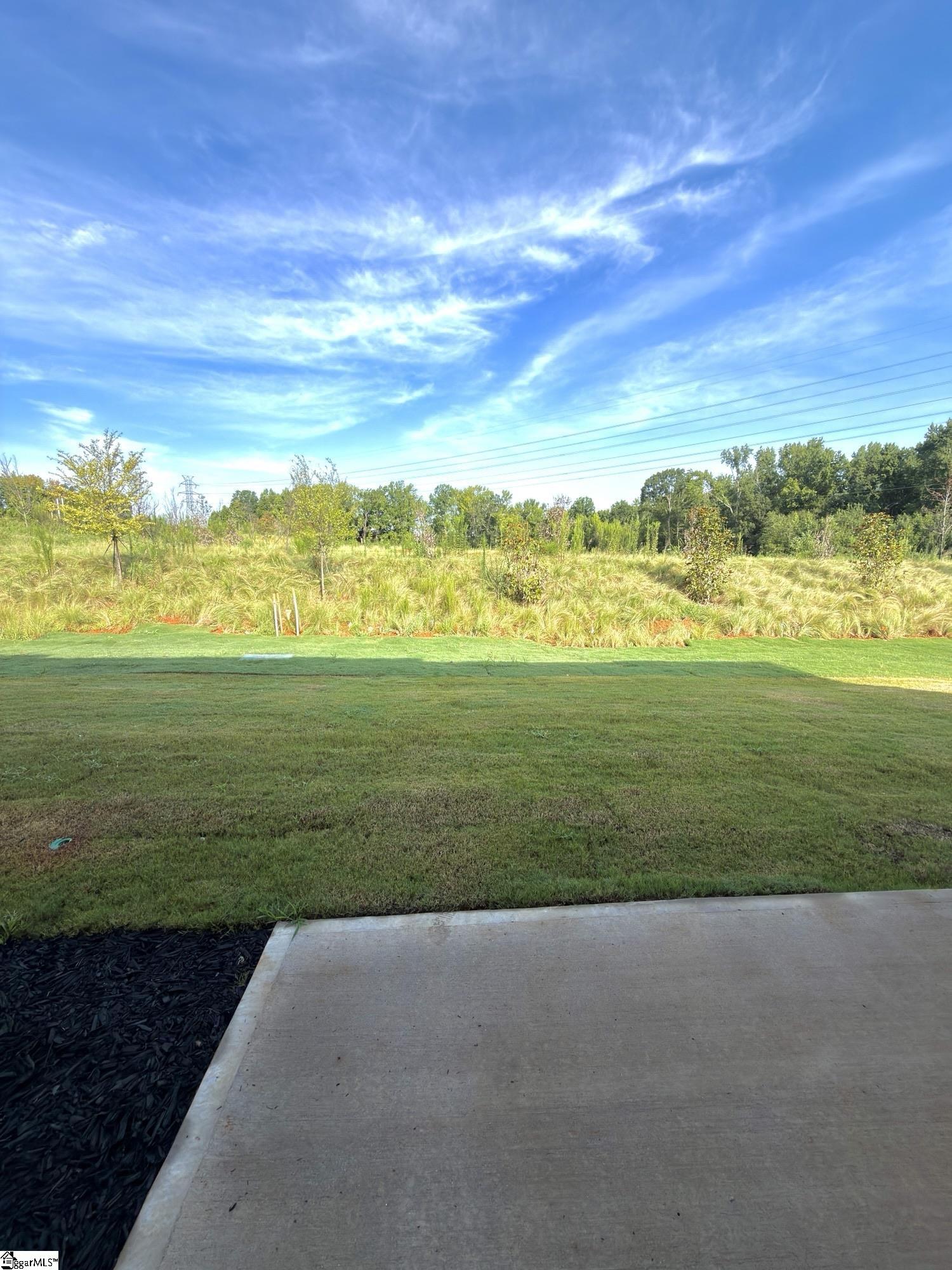 50 Telluride Drive Property Photo 22