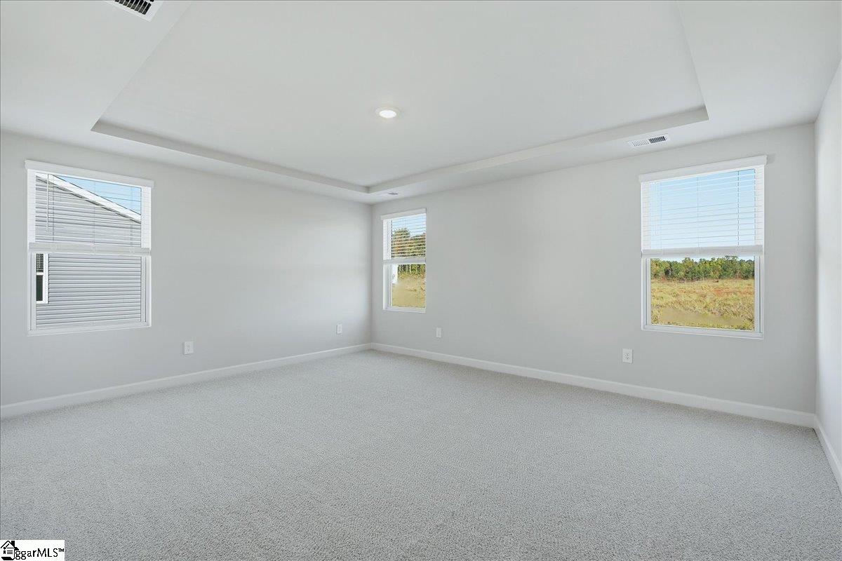 441 Blissful Court Property Photo 19