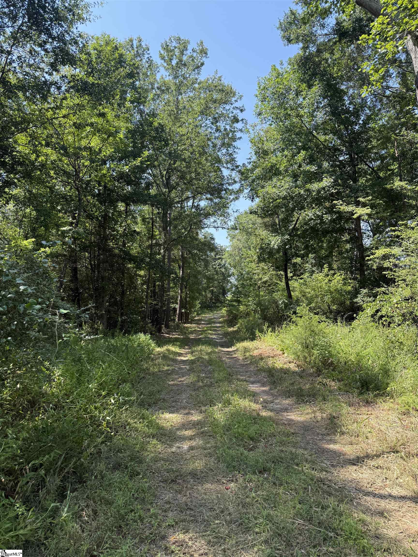 324 Garvin Road Property Photo 4