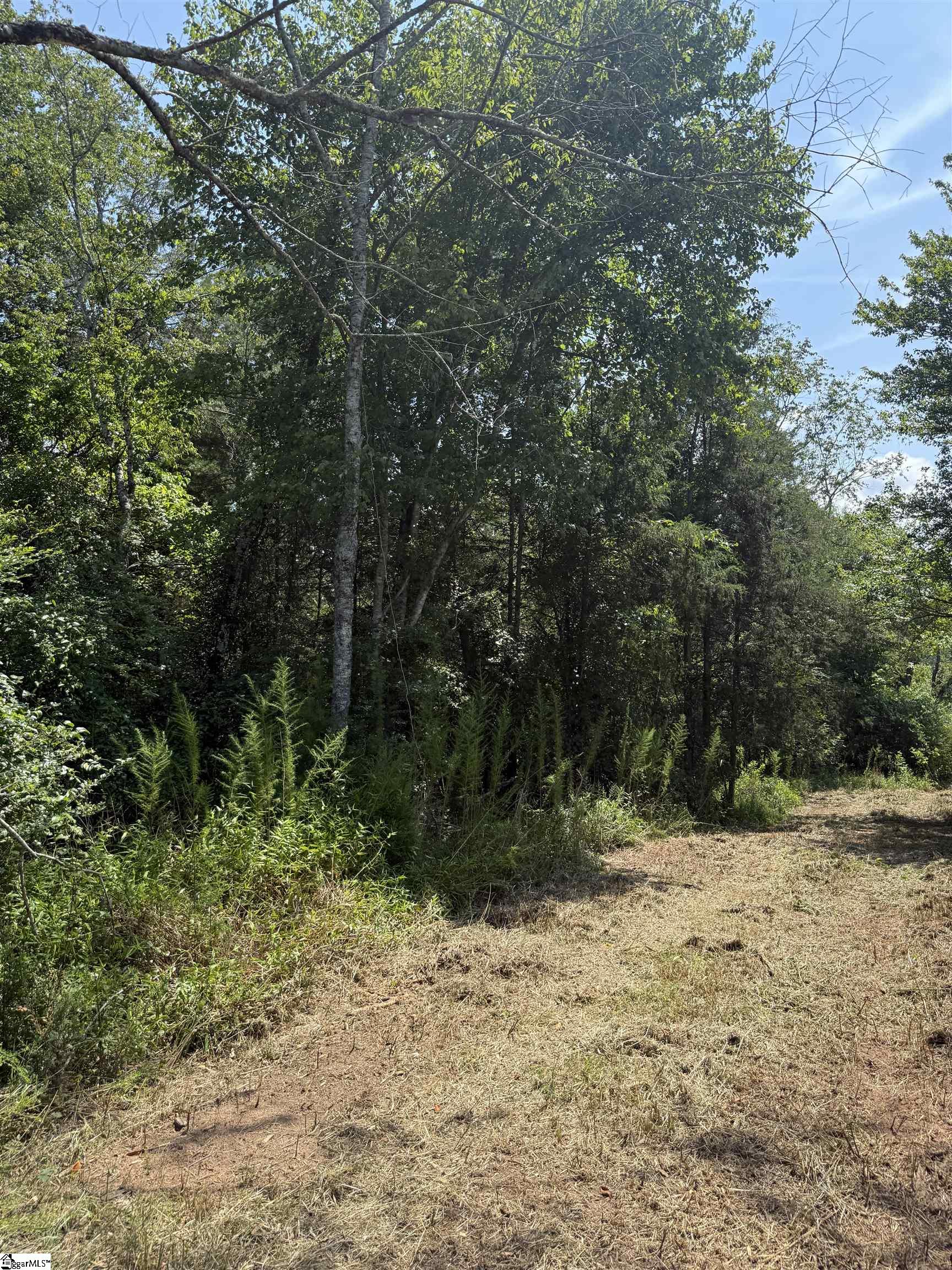 324 Garvin Road Property Photo 10