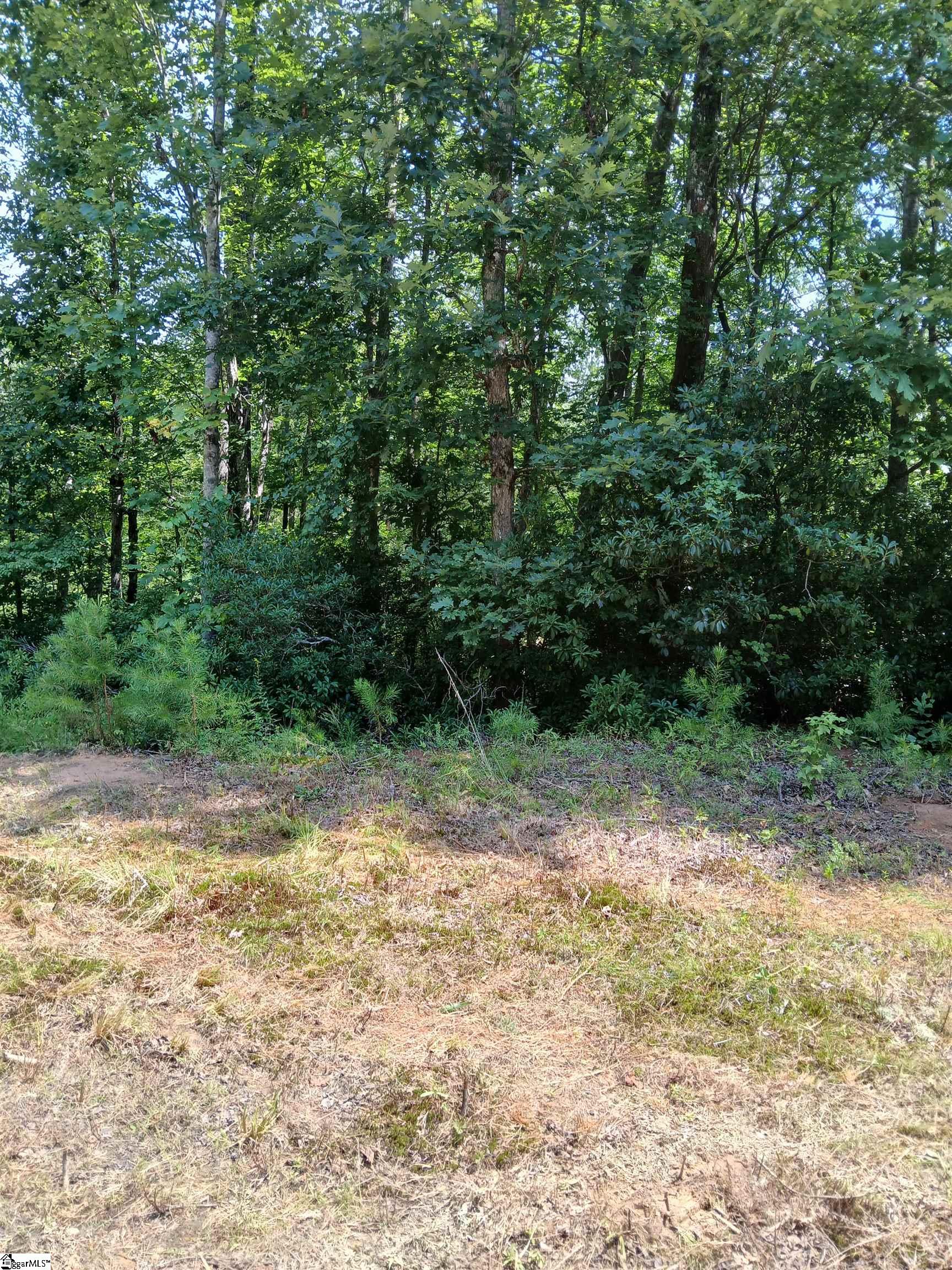 116 Rhodes Lane Property Photo 4