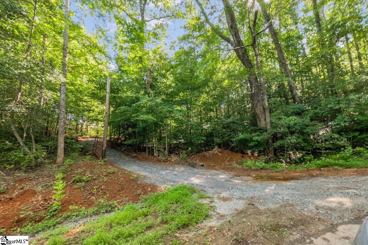 The Bear Boulevard Property Photo 3
