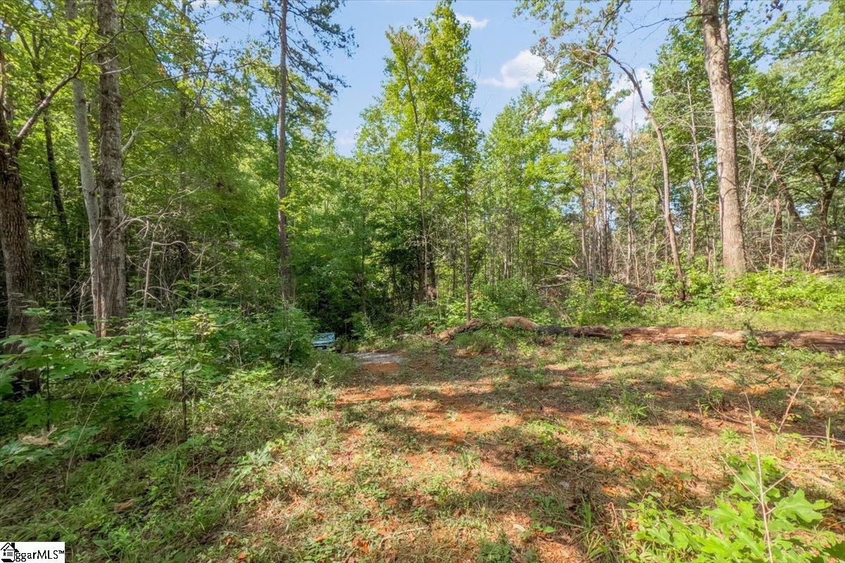 The Bear Boulevard Property Photo 4