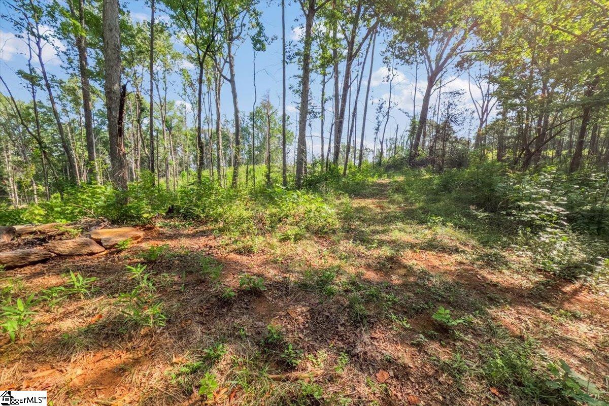 The Bear Boulevard Property Photo 5