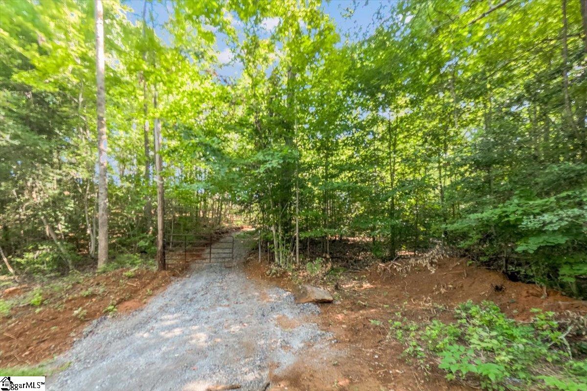 The Bear Boulevard Property Photo 6