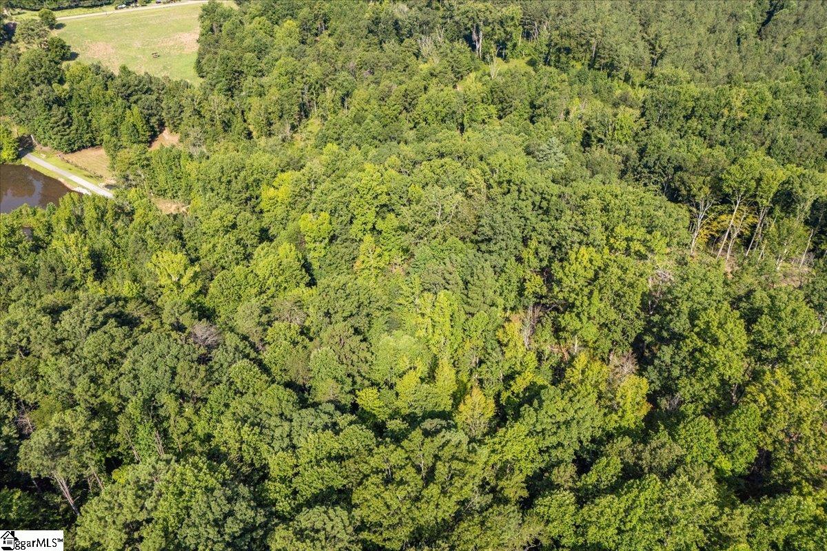 The Bear Boulevard Property Photo 11