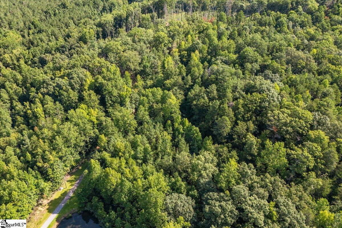 The Bear Boulevard Property Photo 12