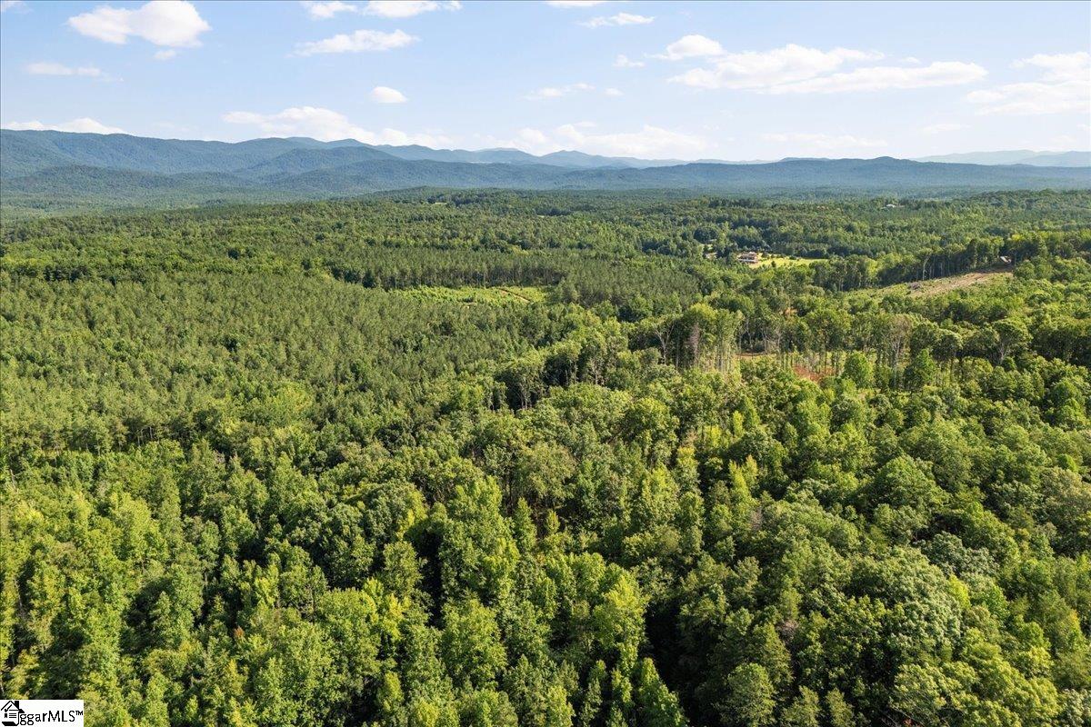 The Bear Boulevard Property Photo 15