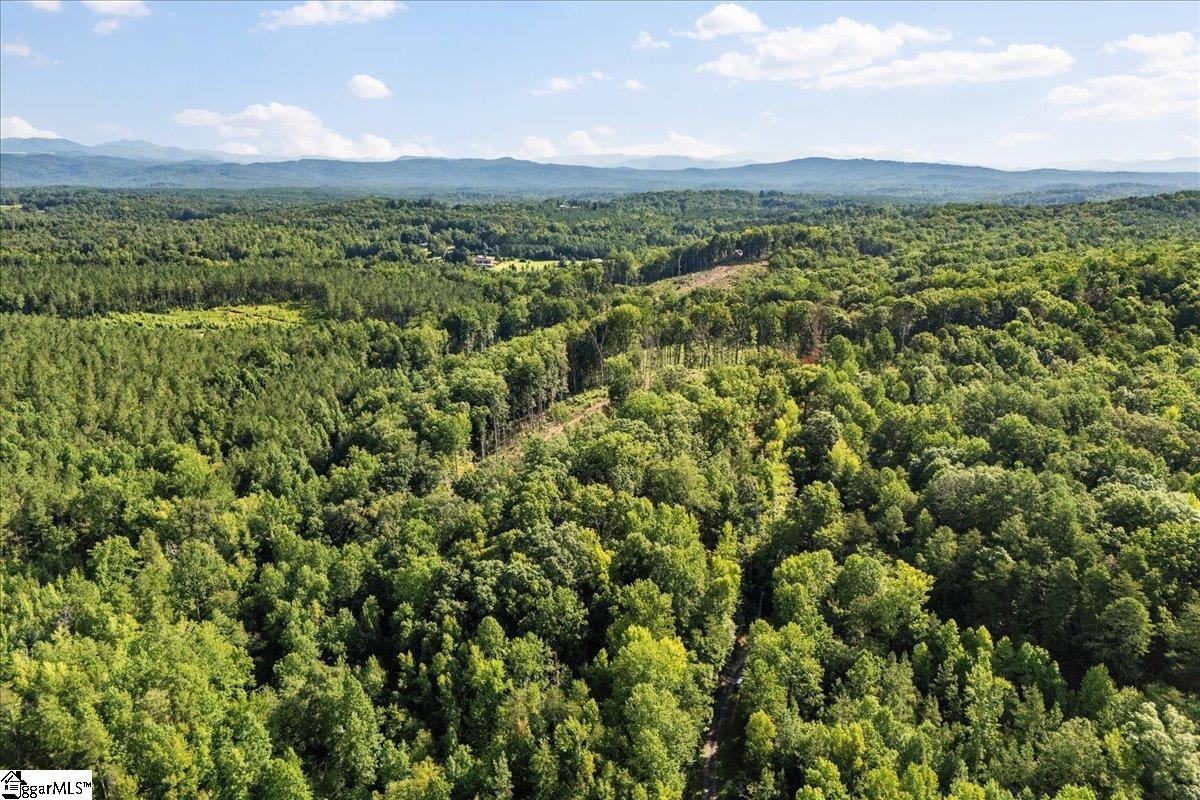 The Bear Boulevard Property Photo 16