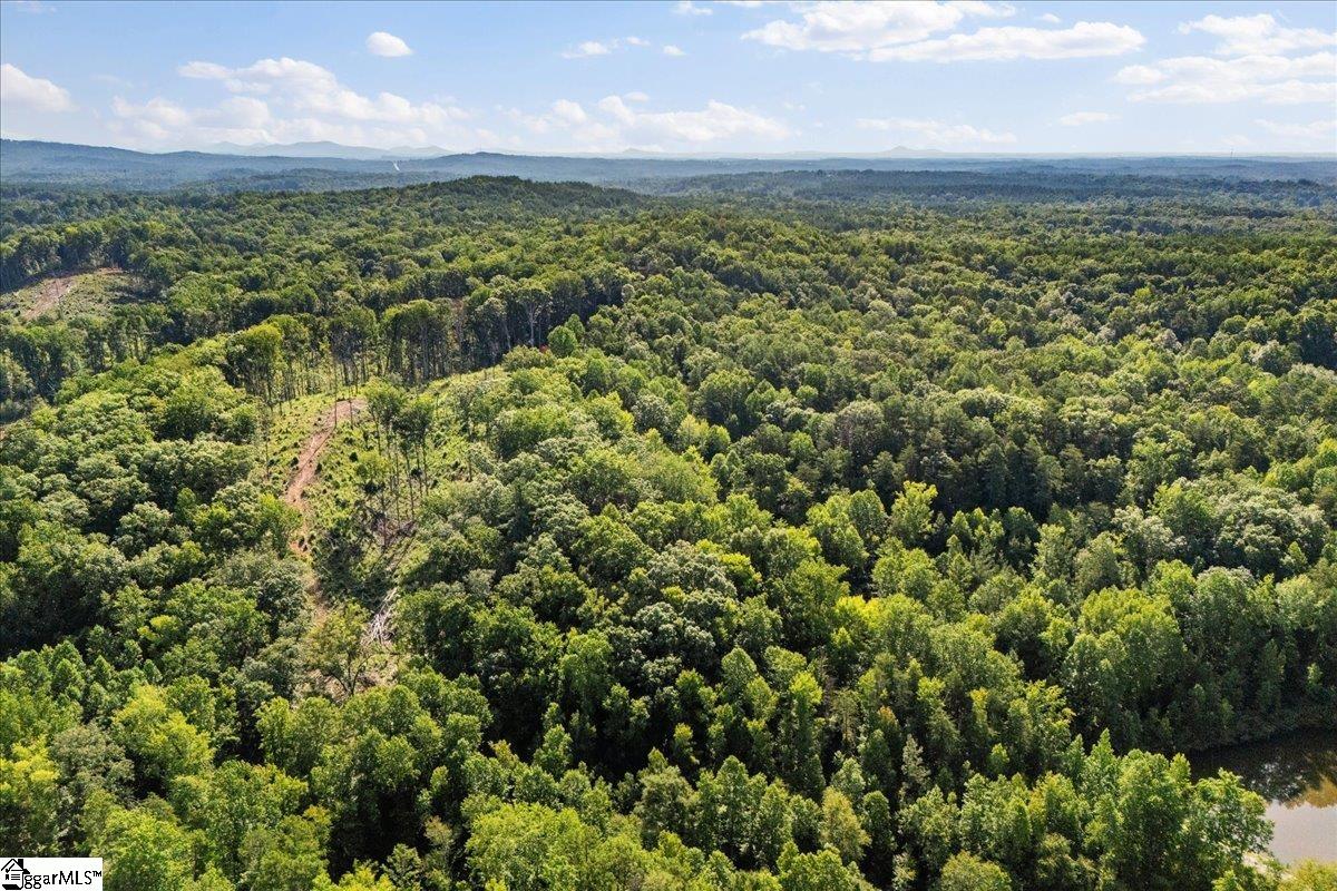 The Bear Boulevard Property Photo 17