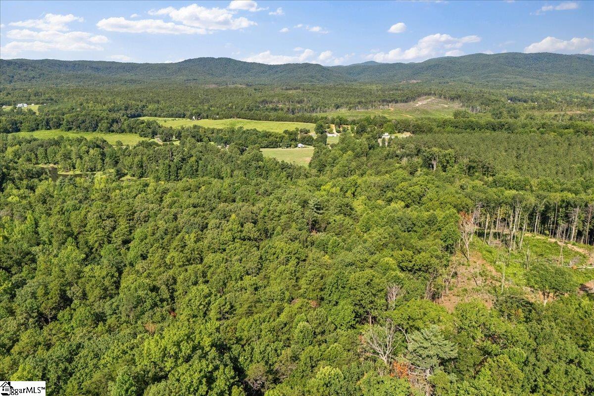 The Bear Boulevard Property Photo 19