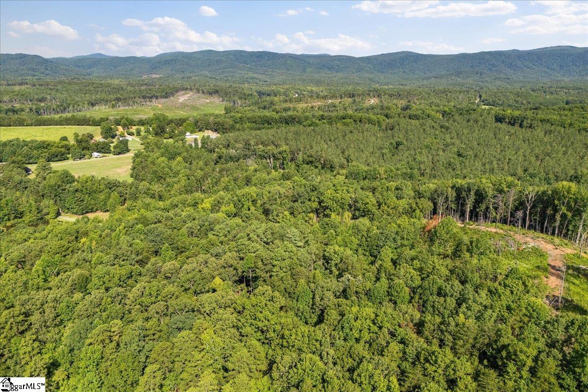 The Bear Boulevard Property Photo 20