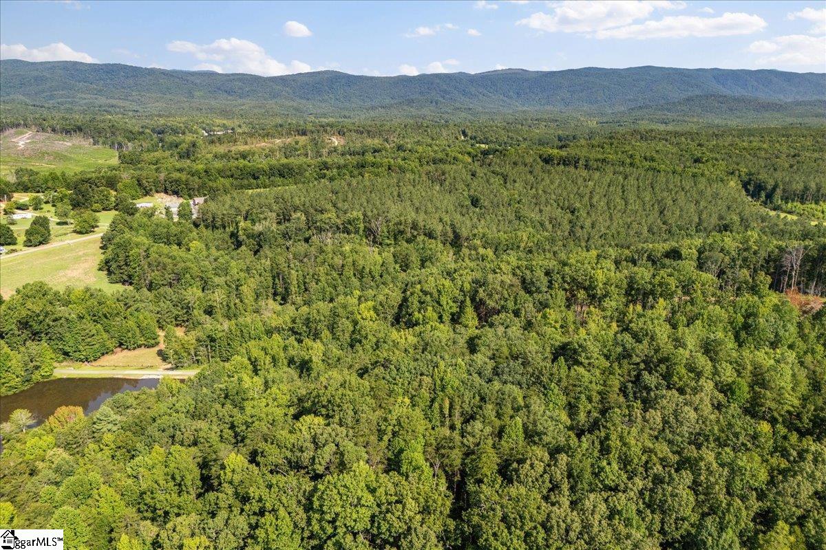 The Bear Boulevard Property Photo 21