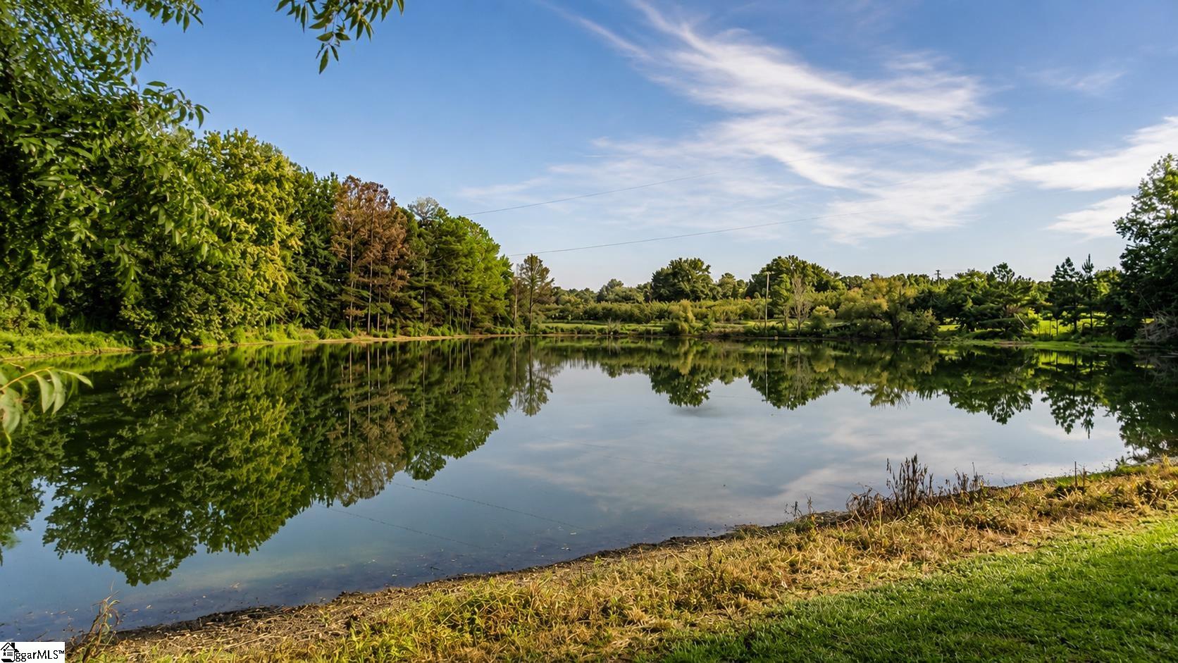 959 Turkey Farm Road Property Photo 6