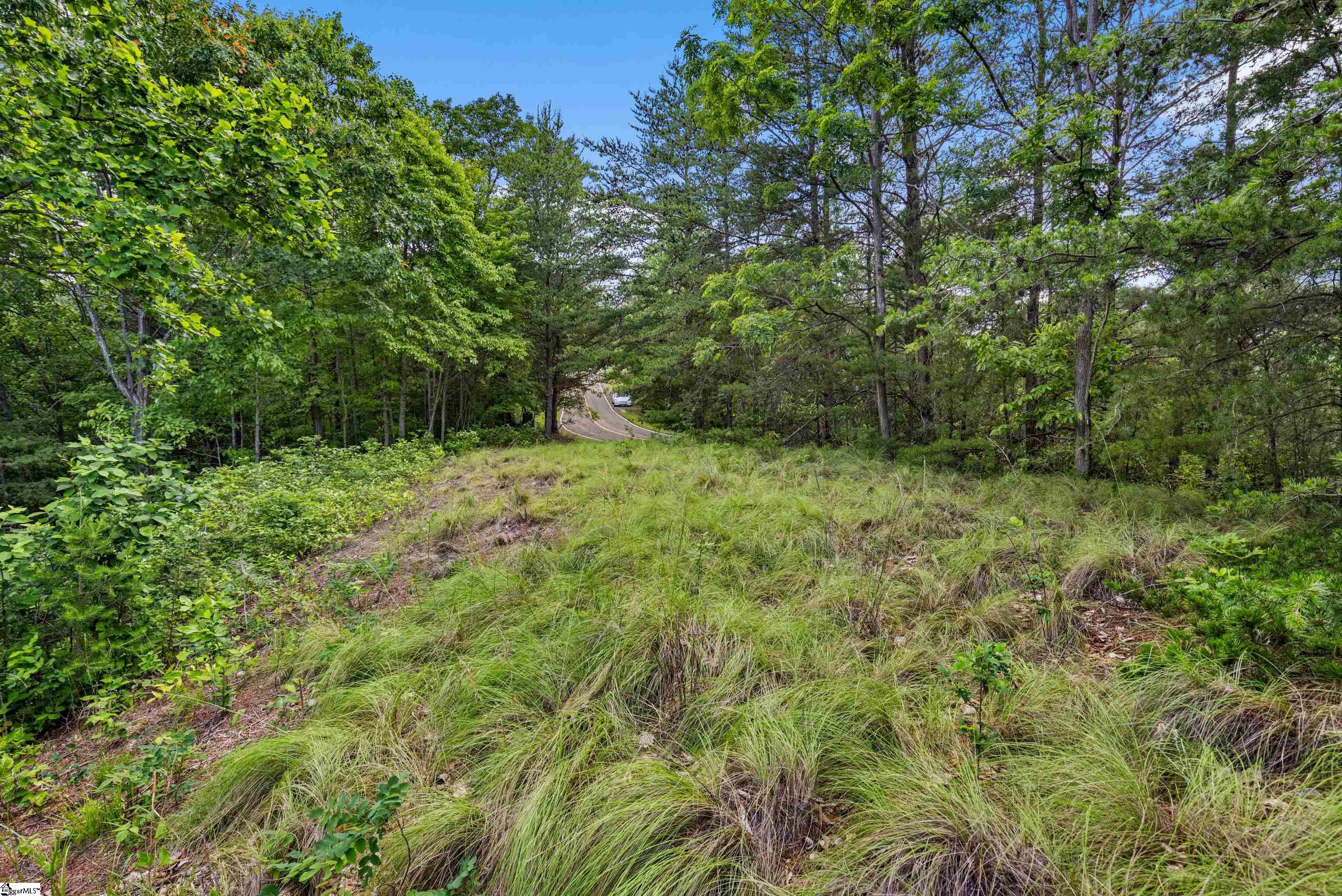 214 Craggy Rock Lane Property Photo 10