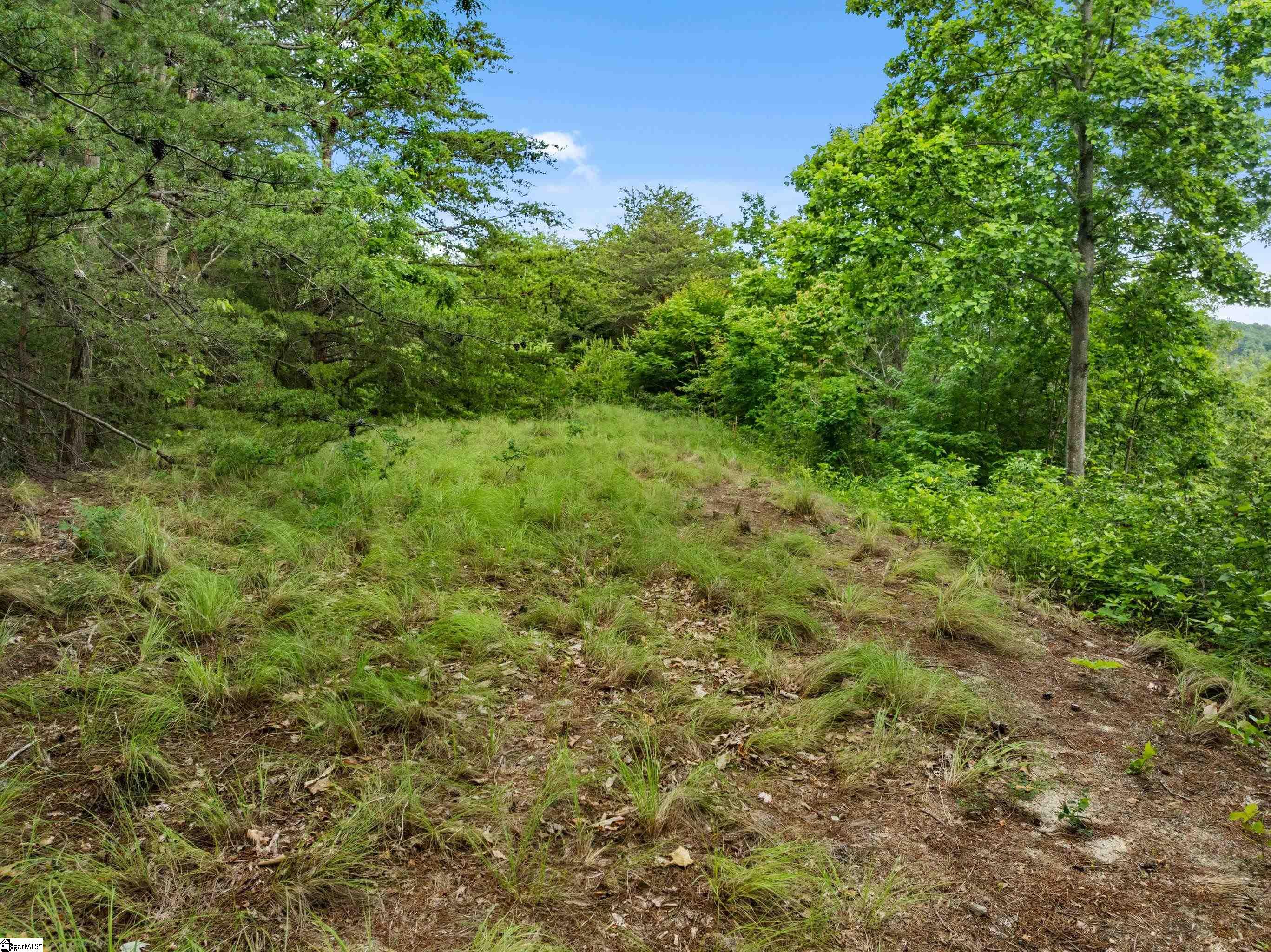 214 Craggy Rock Lane Property Photo 11