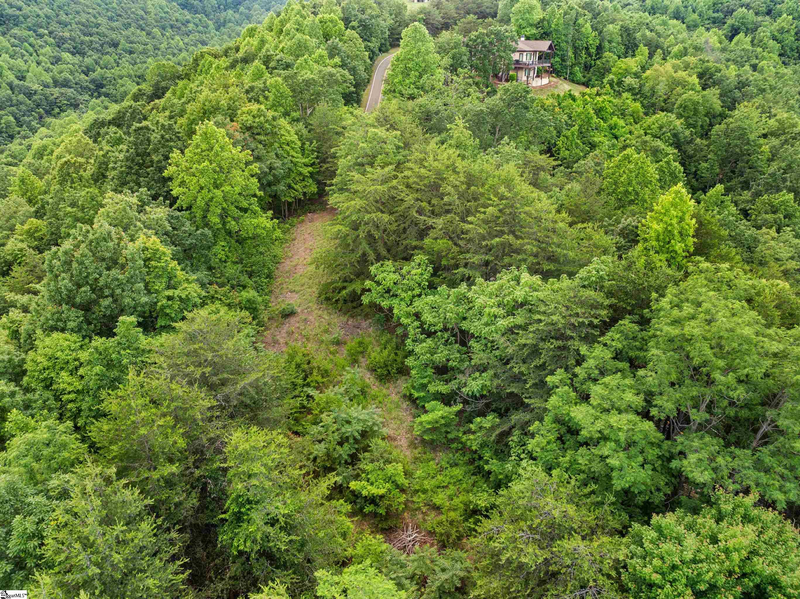 214 Craggy Rock Lane Property Photo 14