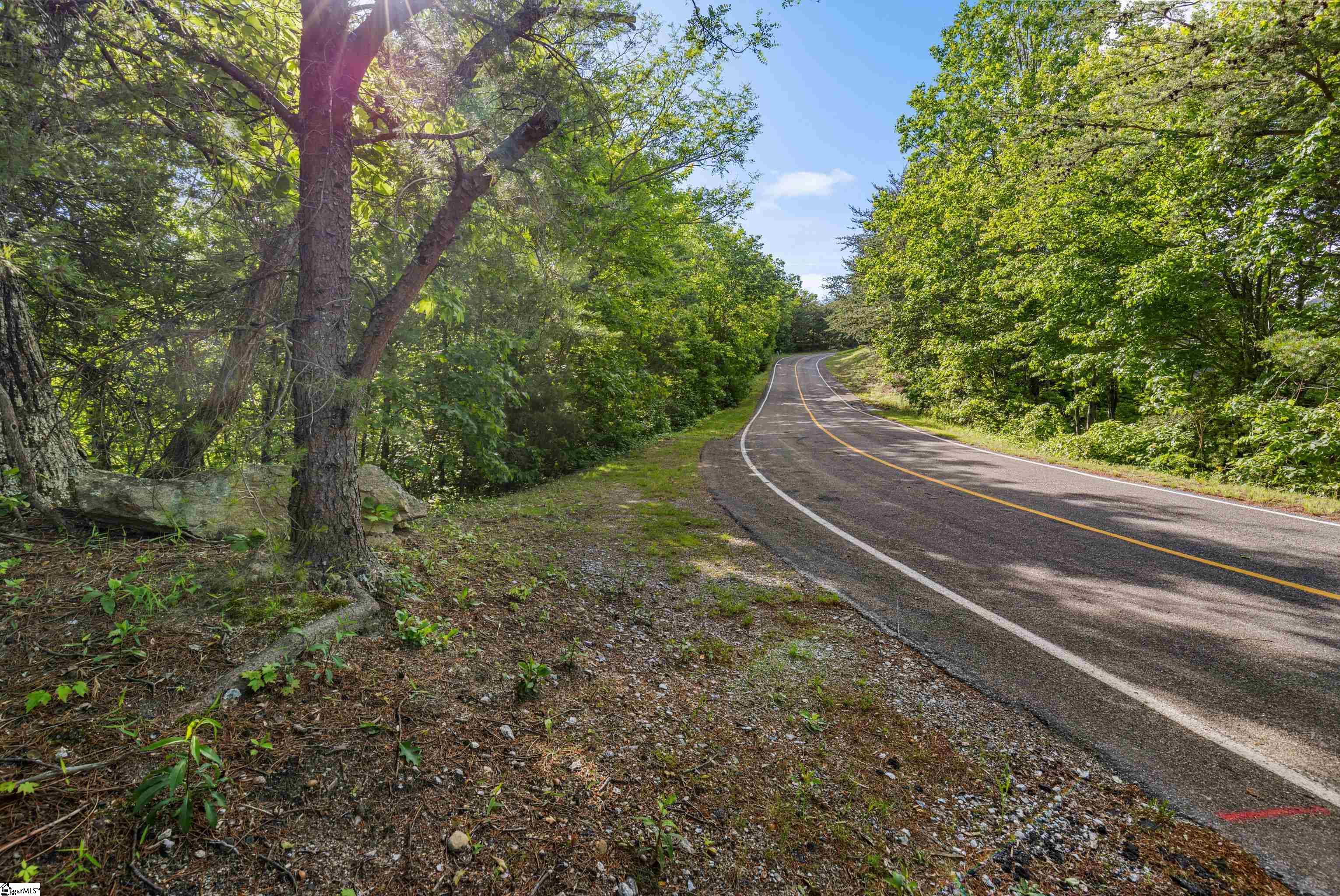 214 Craggy Rock Lane Property Photo 16