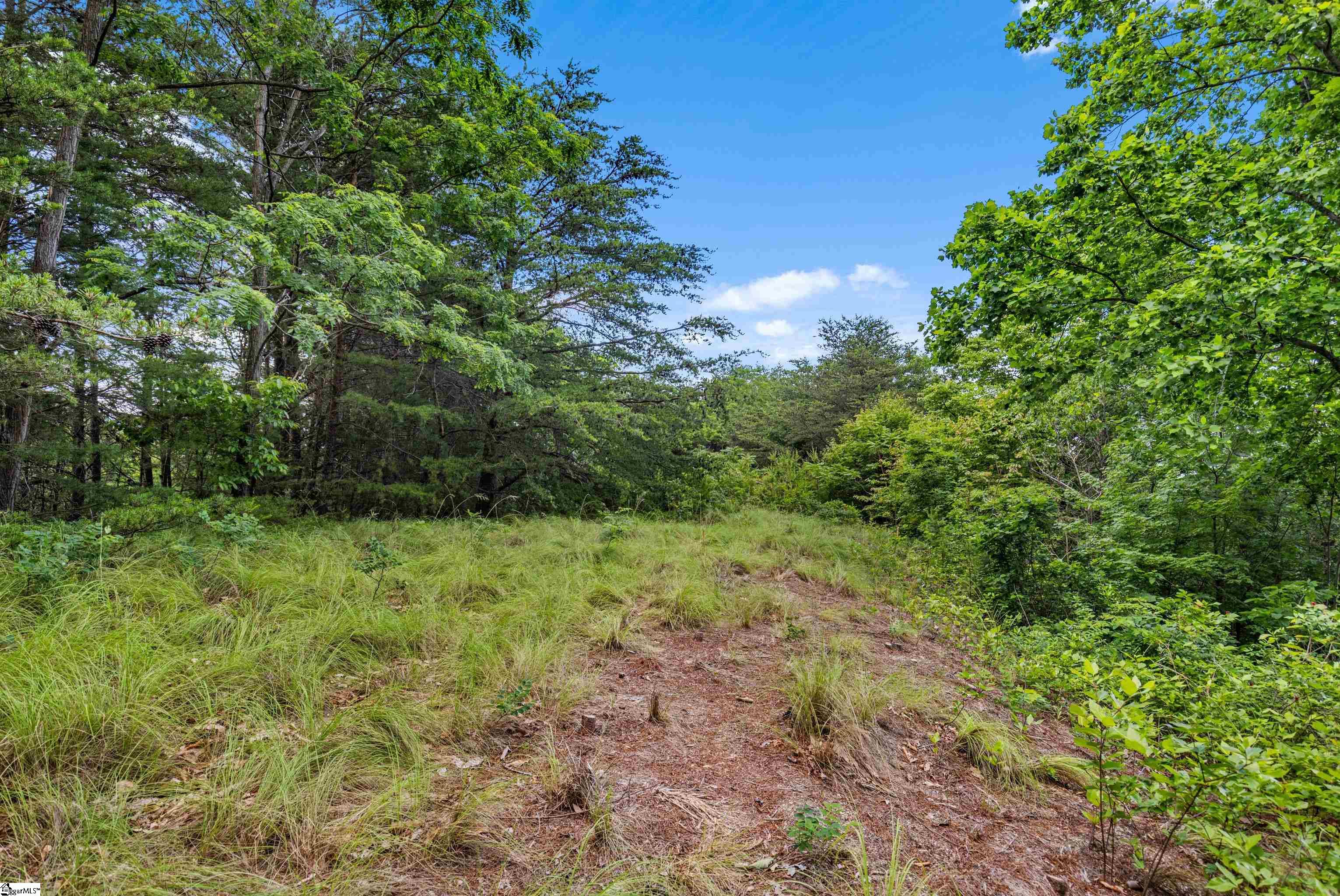 214 Craggy Rock Lane Property Photo 24