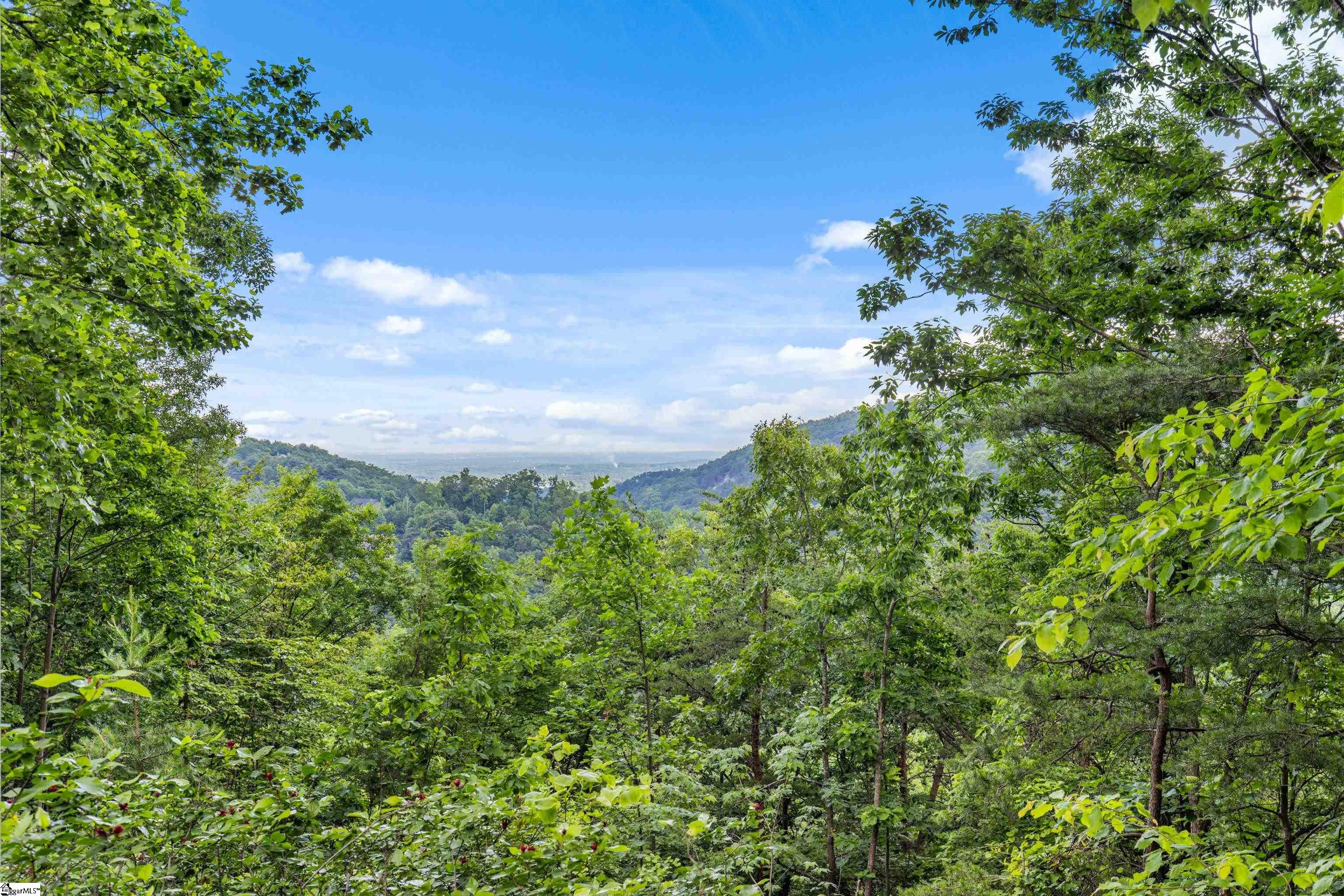 214 Craggy Rock Lane Property Photo 25