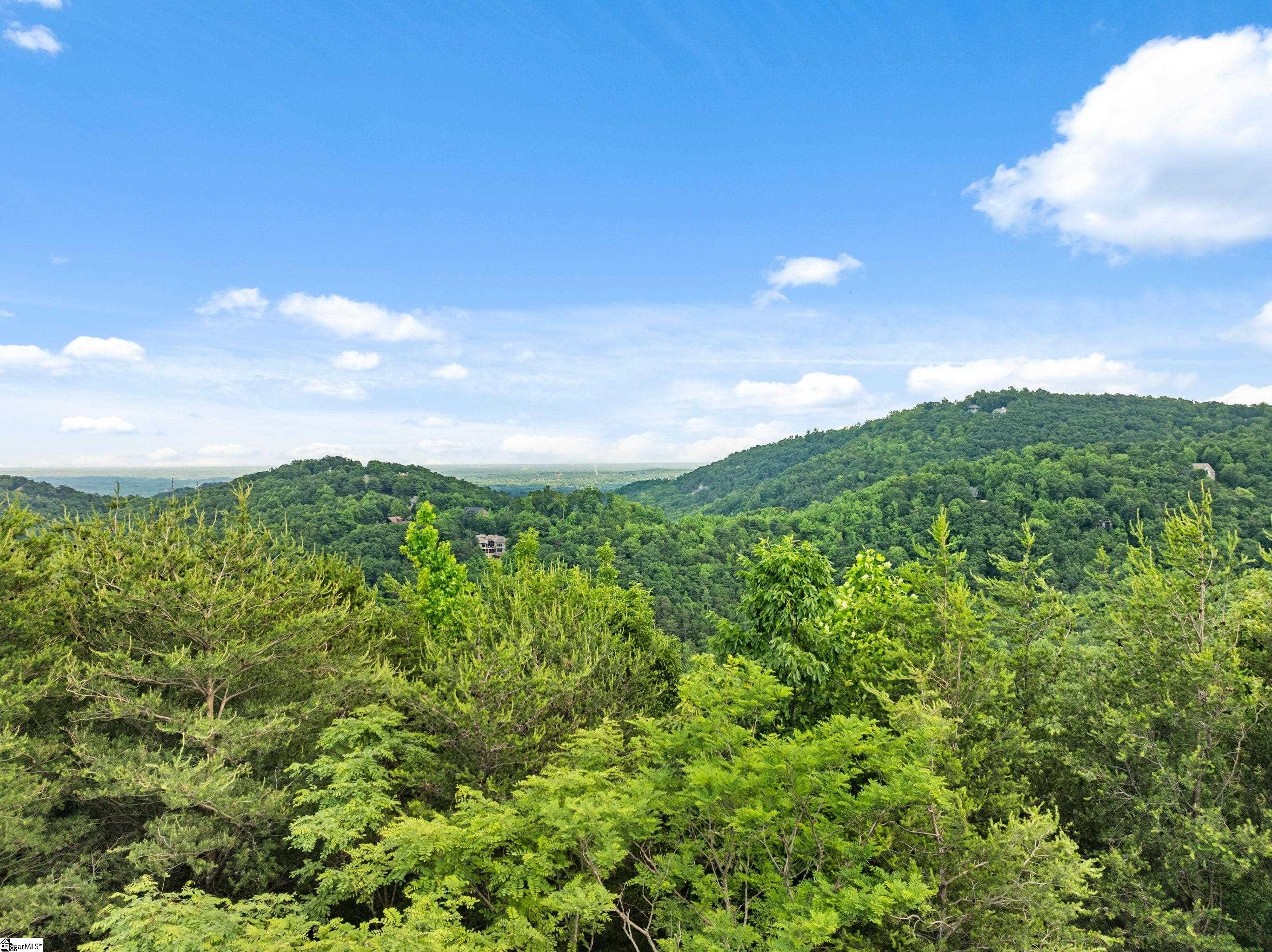 214 Craggy Rock Lane Property Photo 37