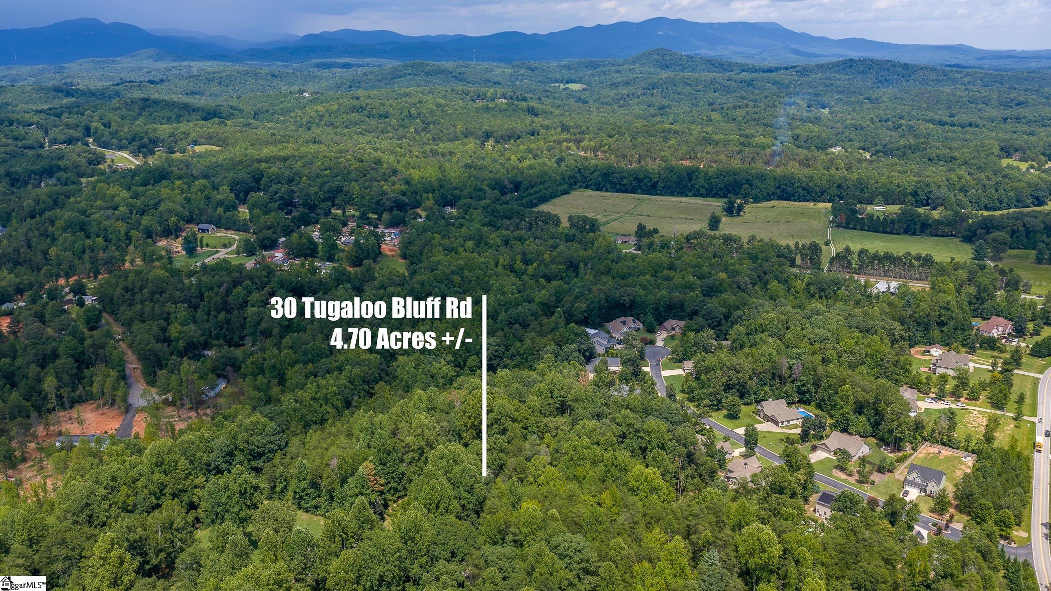 30 Tugaloo Bluff Road Property Photo 2