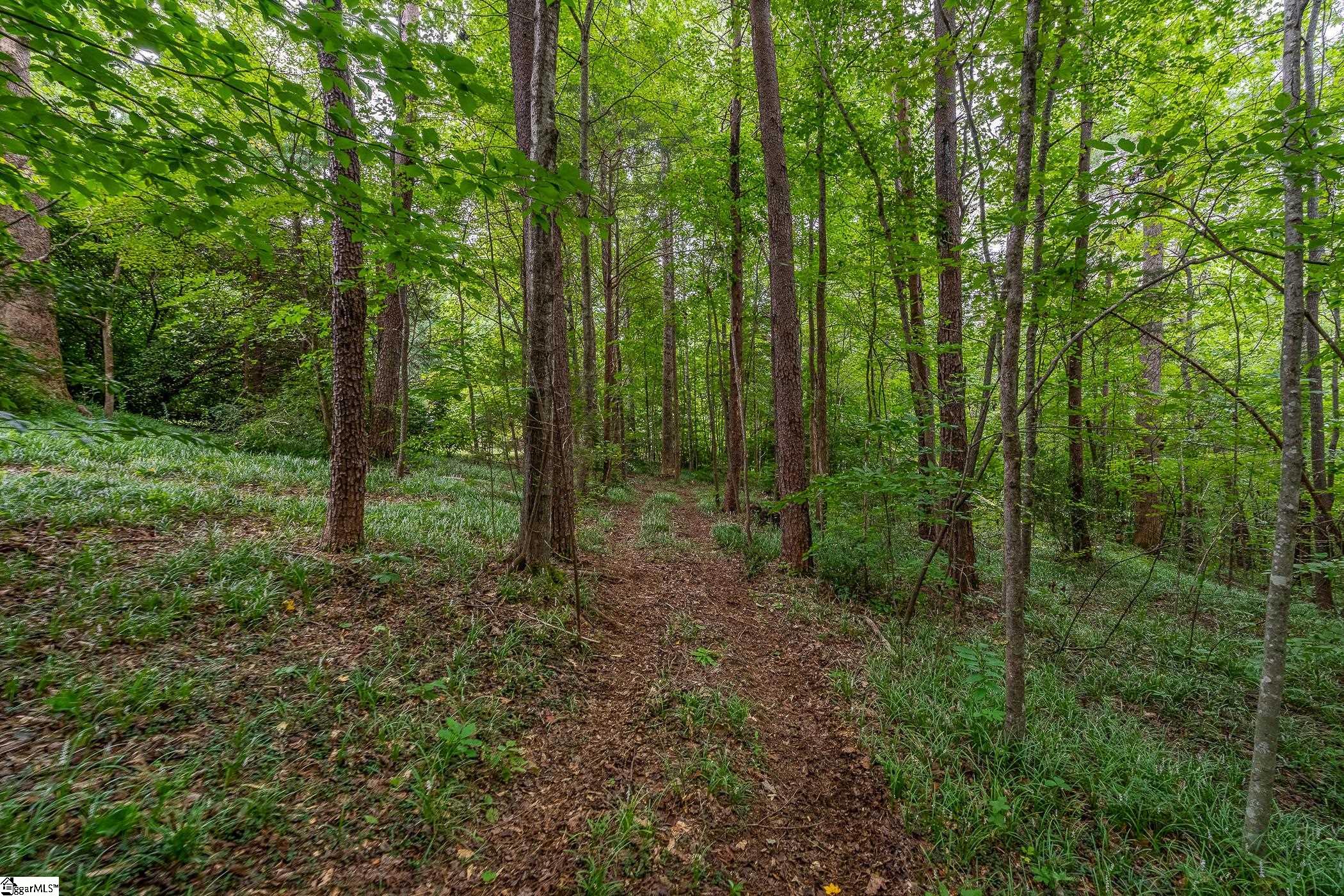 30 Tugaloo Bluff Road Property Photo 46