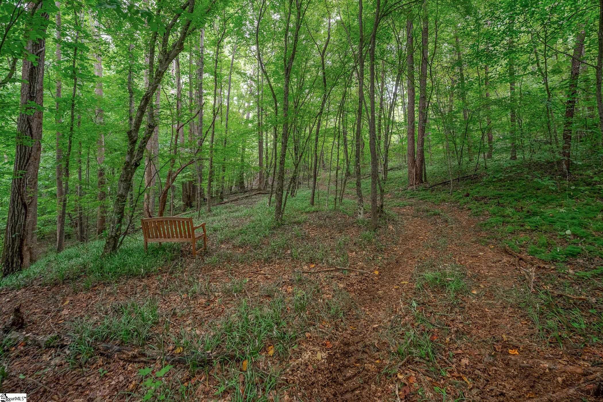 30 Tugaloo Bluff Road Property Photo 47
