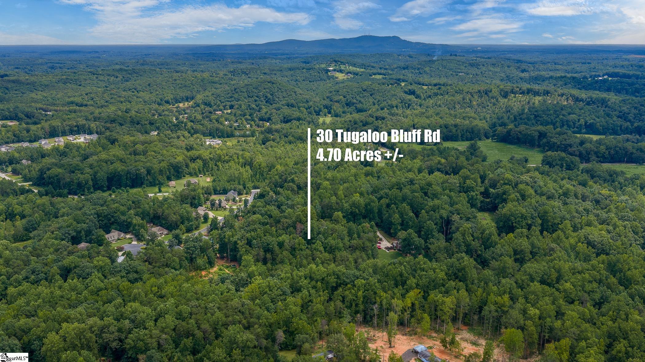 30 Tugaloo Bluff Road Property Photo 49