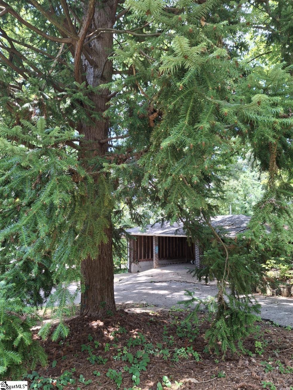 211 Thomas Road Property Photo 8