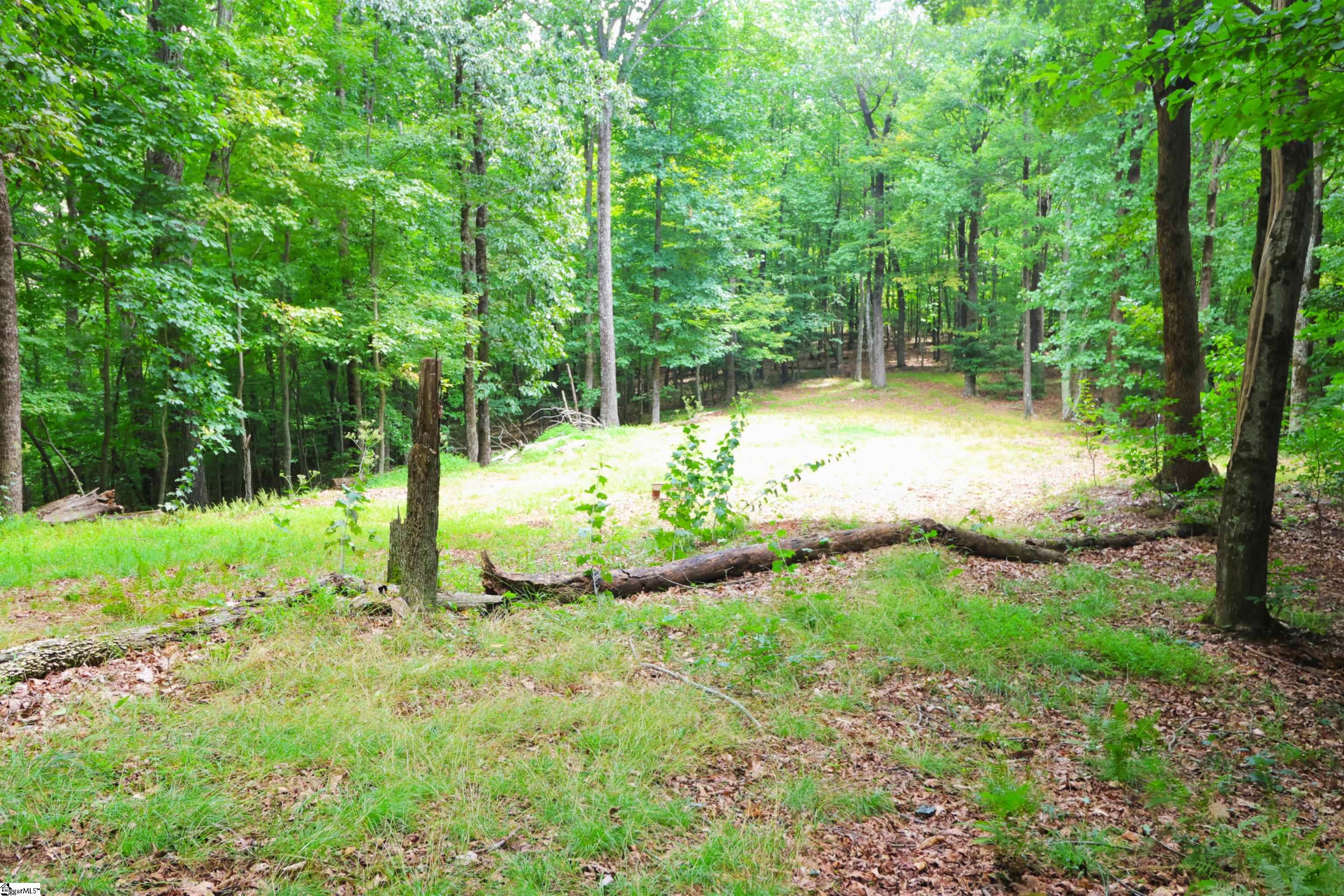 141 Owl Haven Lane Property Photo 38