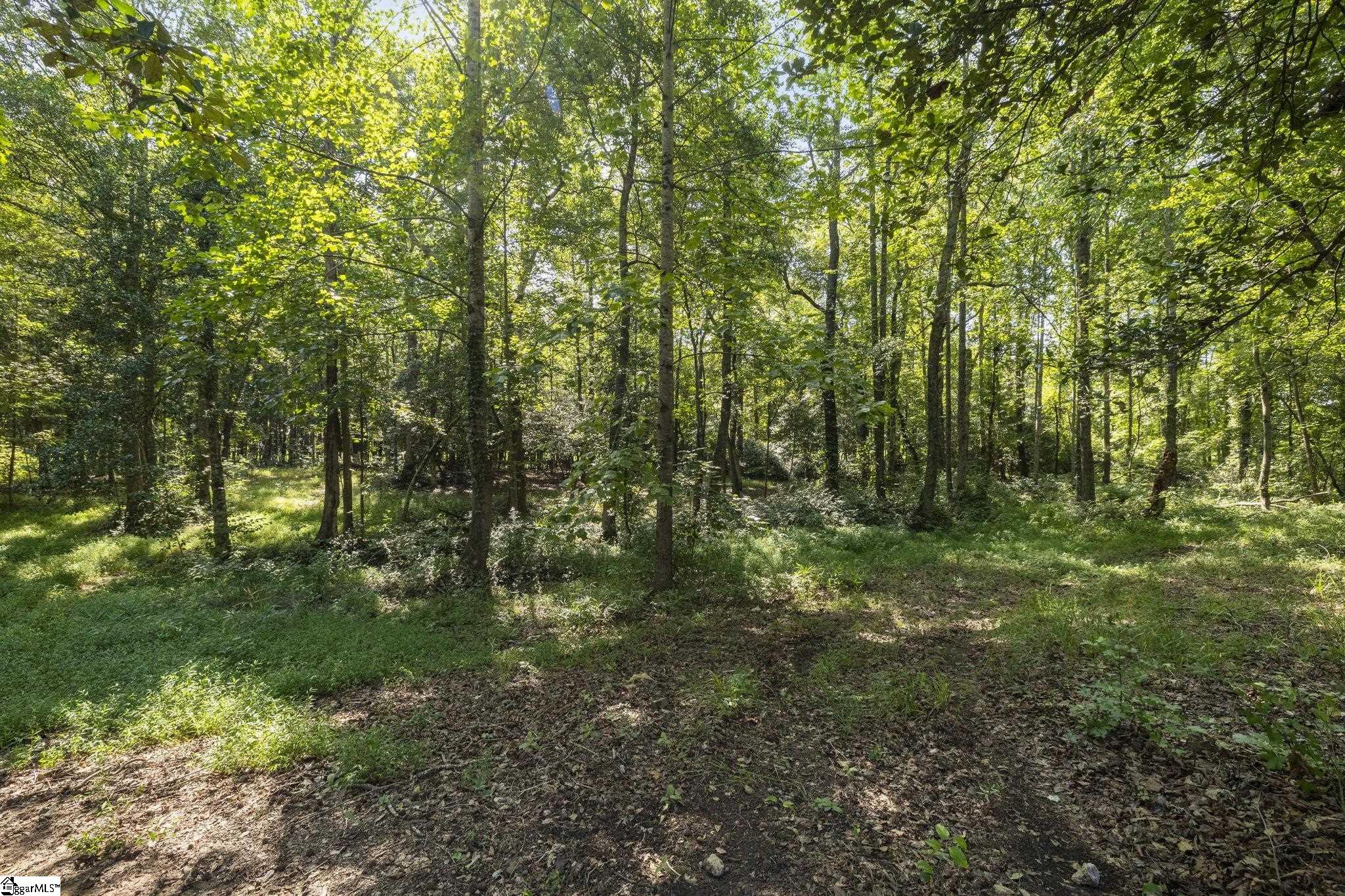 195 Pine Trace Property Photo 45