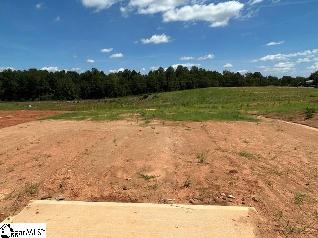 129 Edgewood Farms Court Property Photo 8