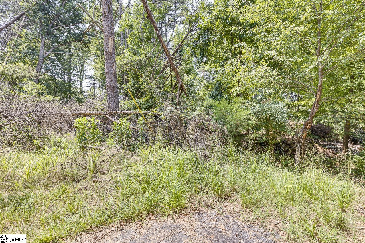 00 Tarleton Road Property Photo 17