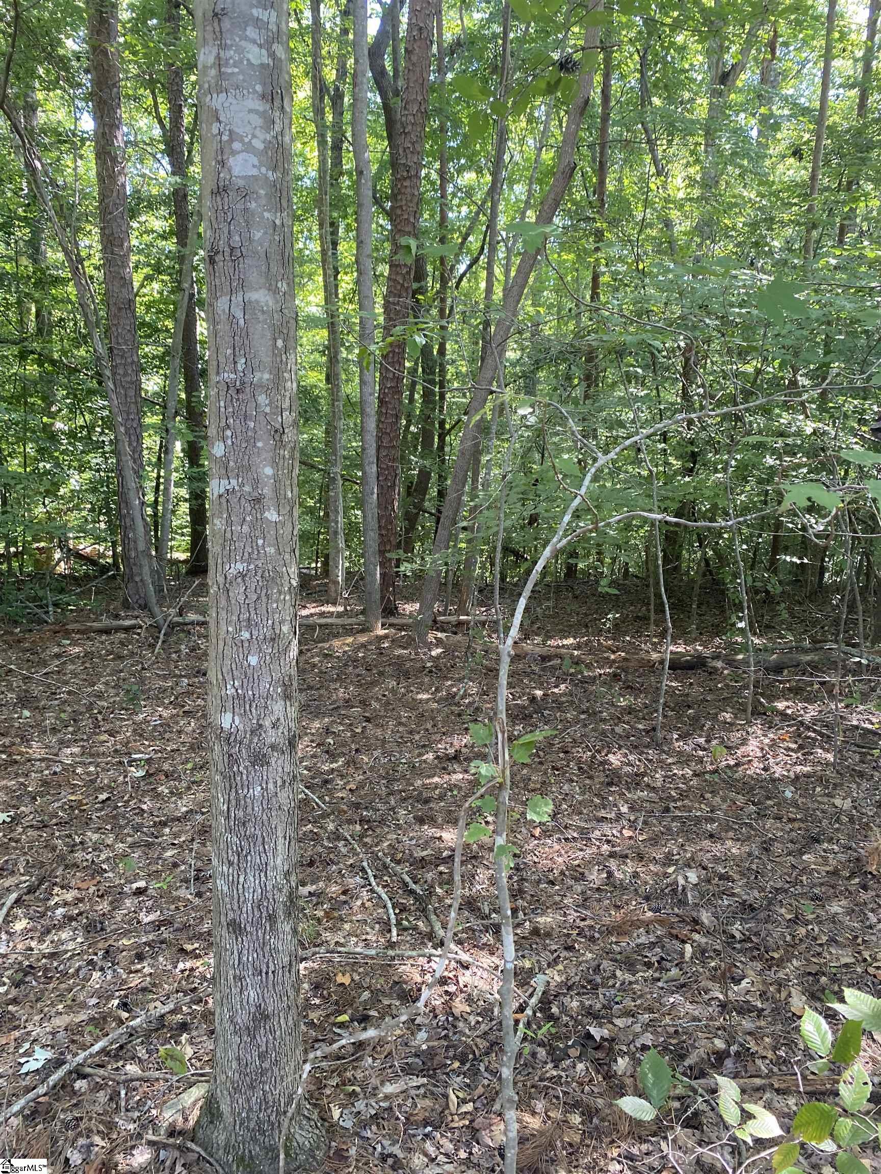 2296/2297 Laurel Drive Property Photo 2