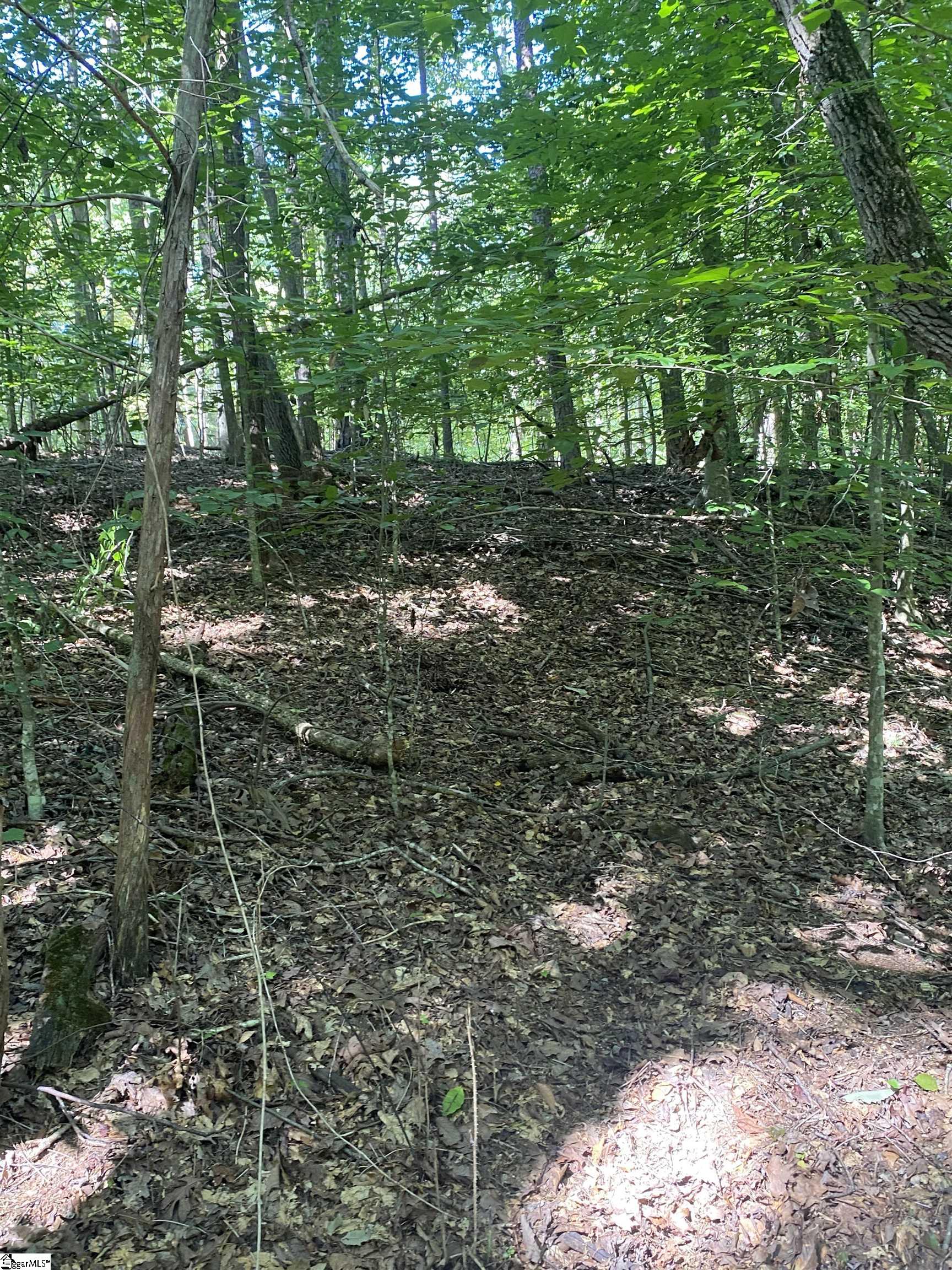 2296/2297 Laurel Drive Property Photo 4