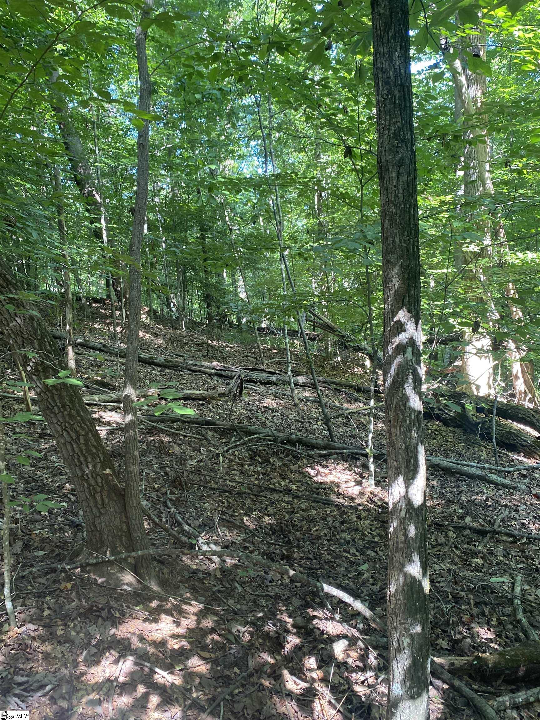 2296/2297 Laurel Drive Property Photo 5