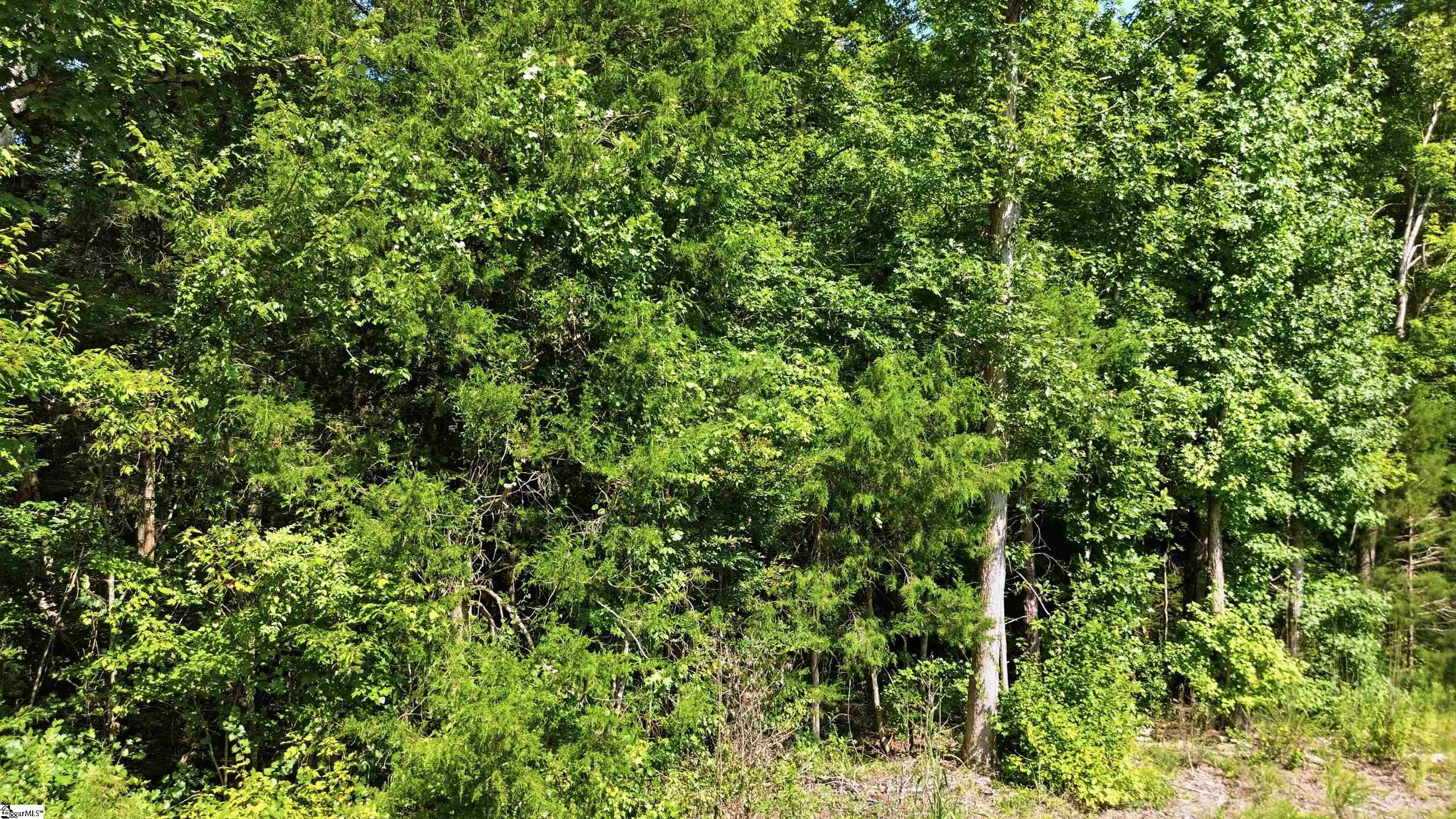 00 Ecliptic Drive Property Photo 20