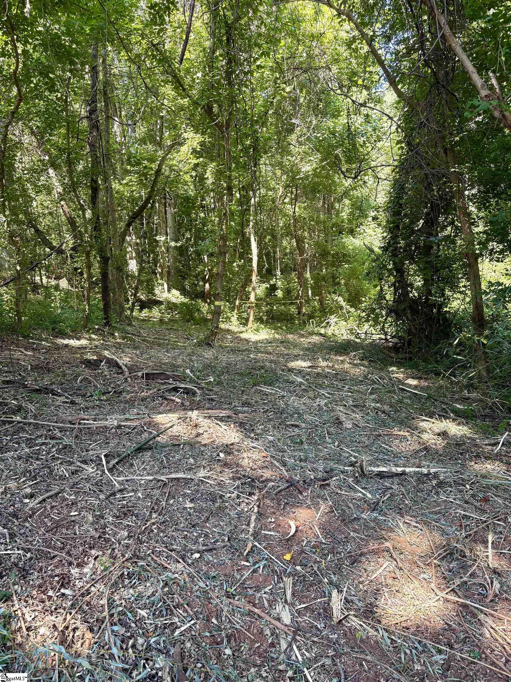 45 Emily Lane Property Photo 6