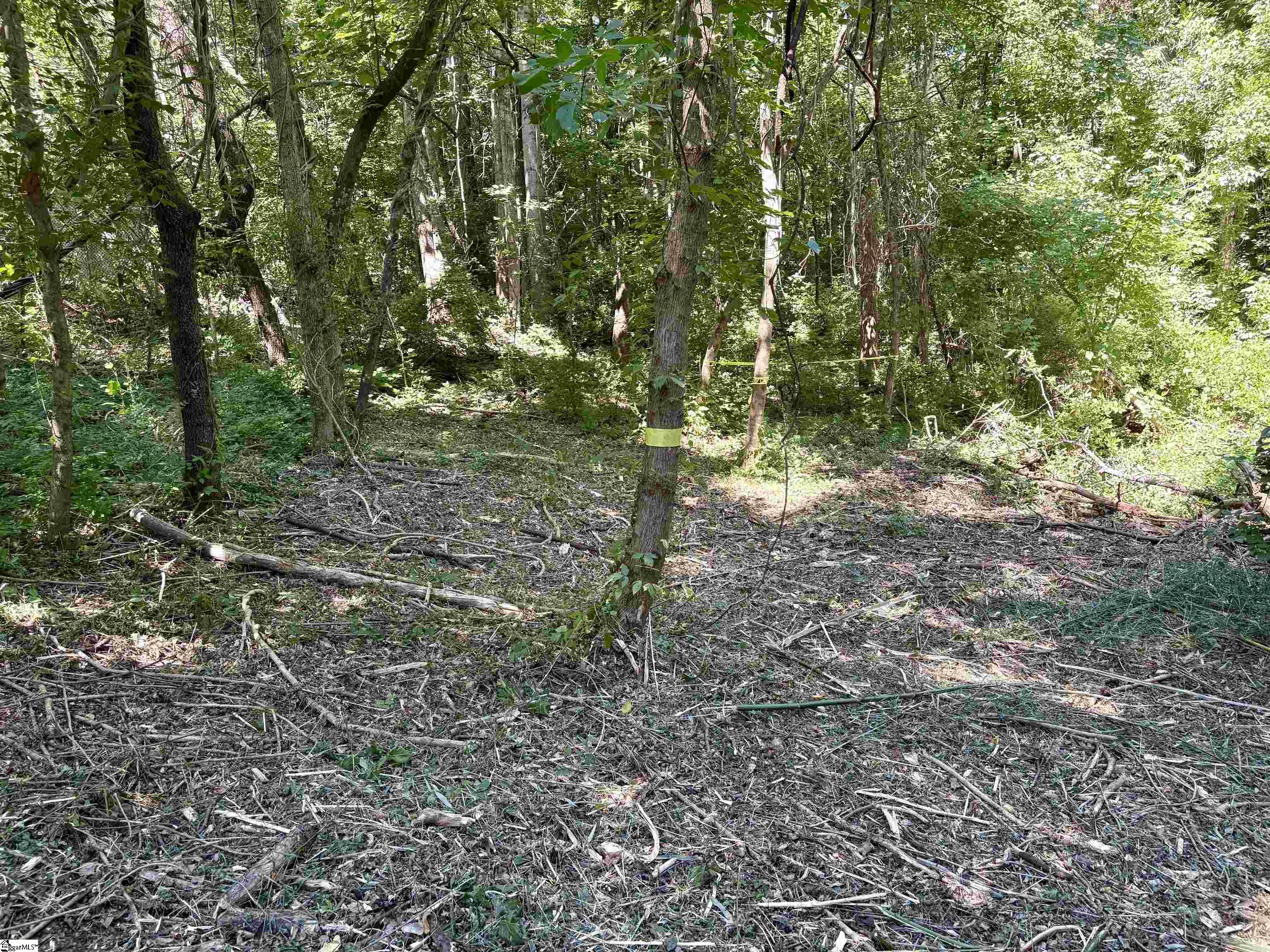 45 Emily Lane Property Photo 7