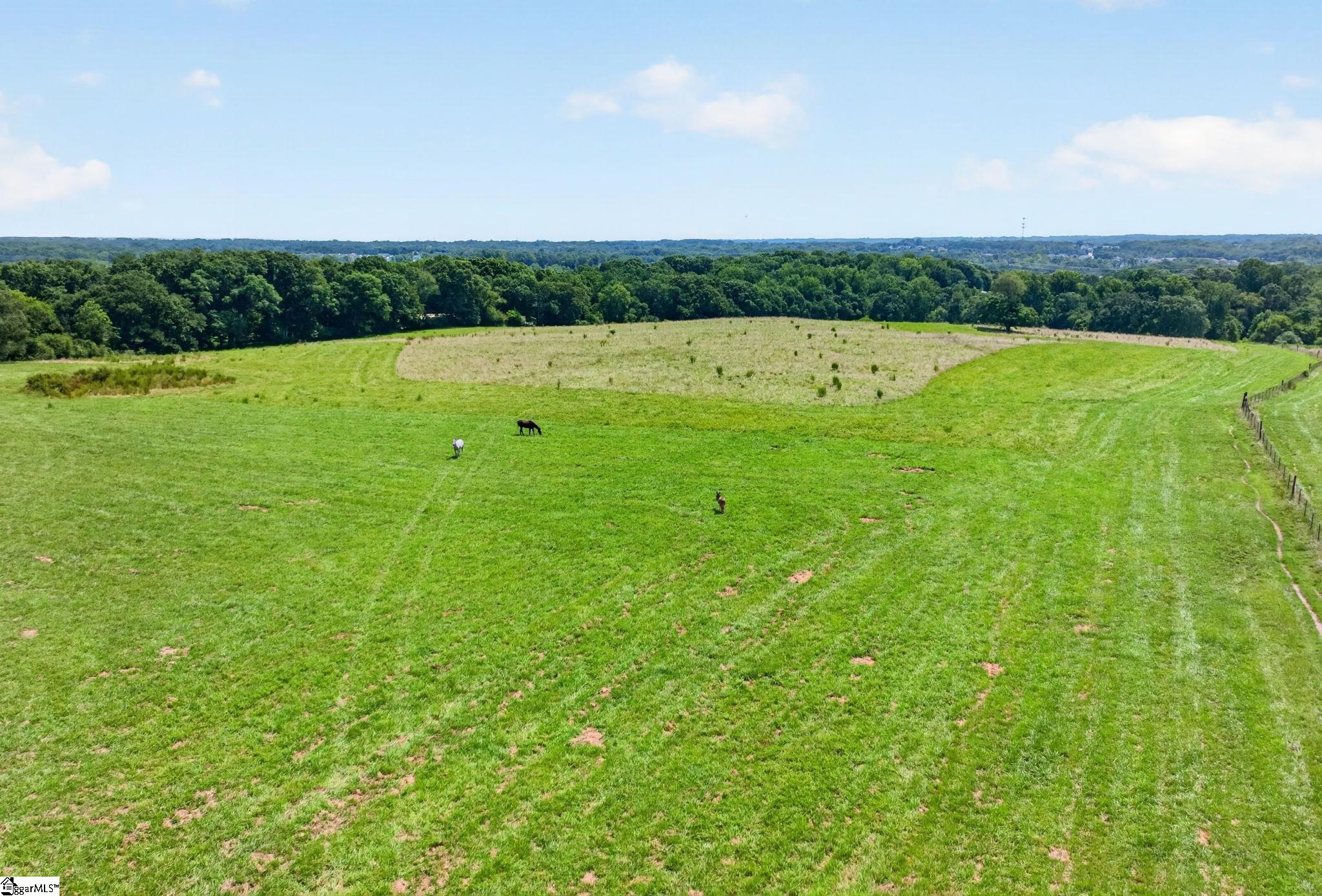 40 Log Shoals Road Property Photo 21