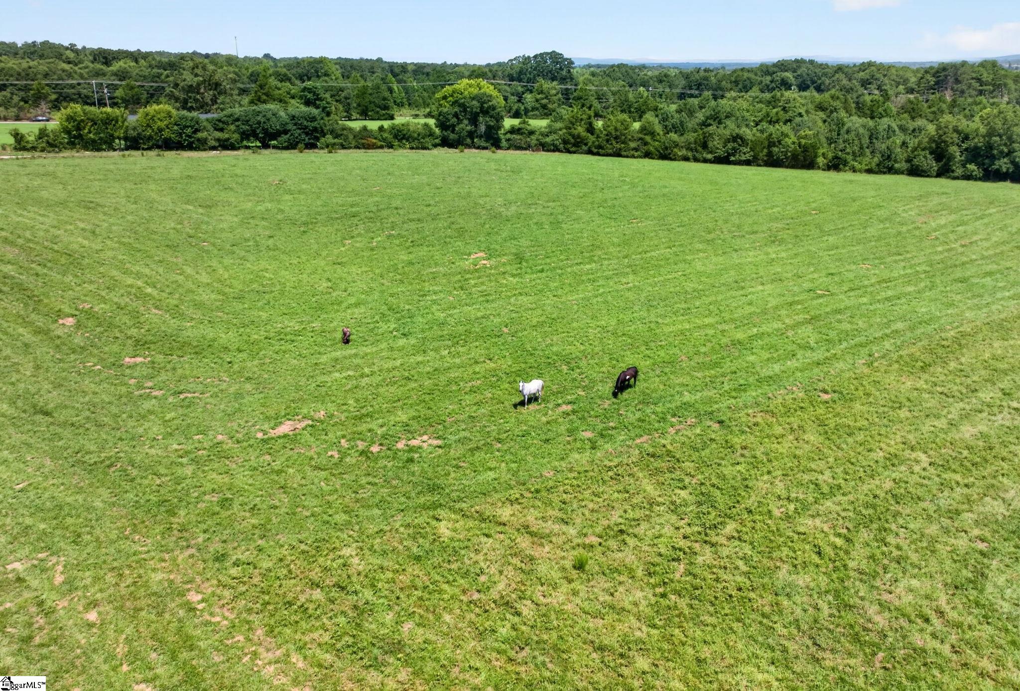 40 Log Shoals Road Property Photo 23