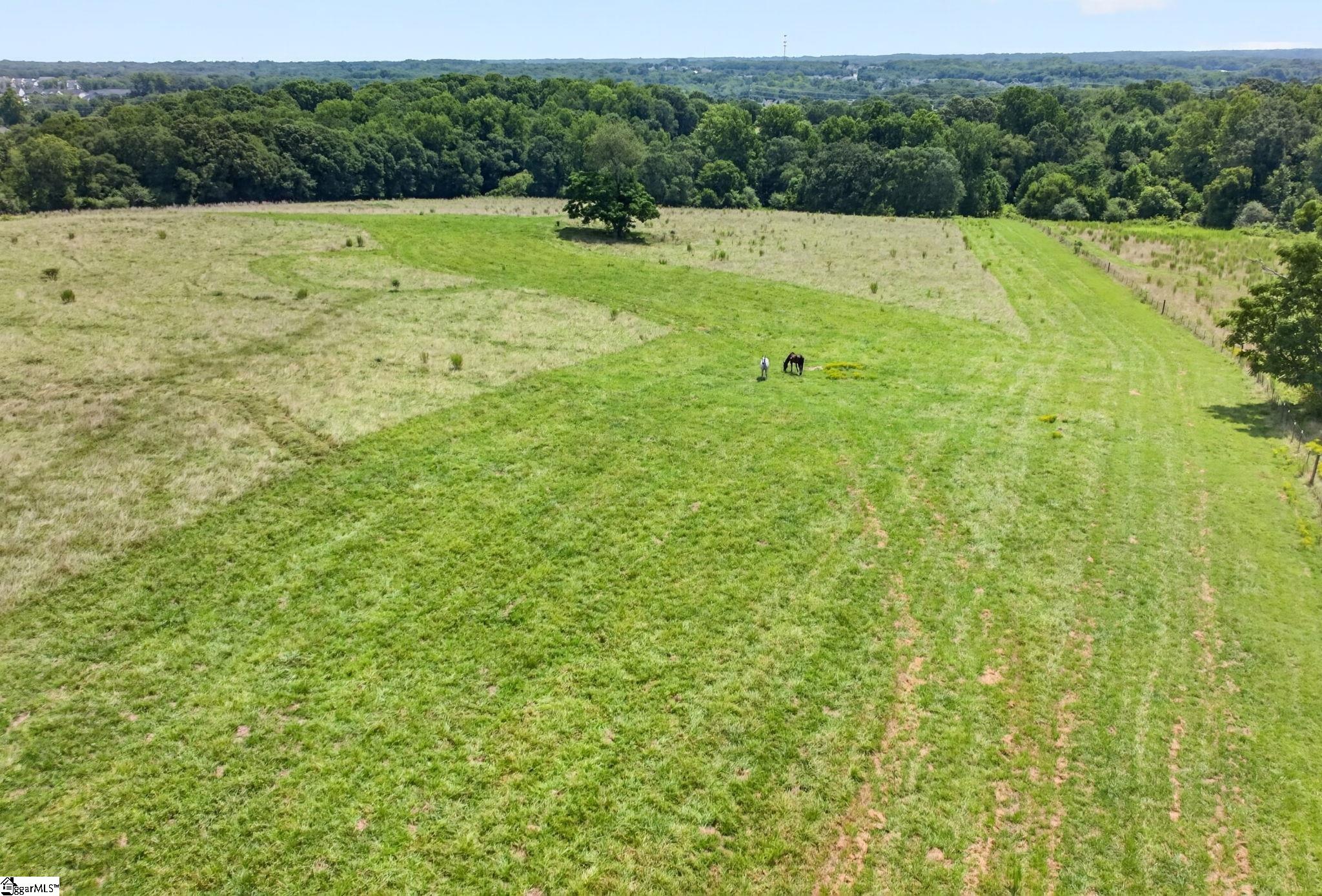 40 Log Shoals Road Property Photo 32