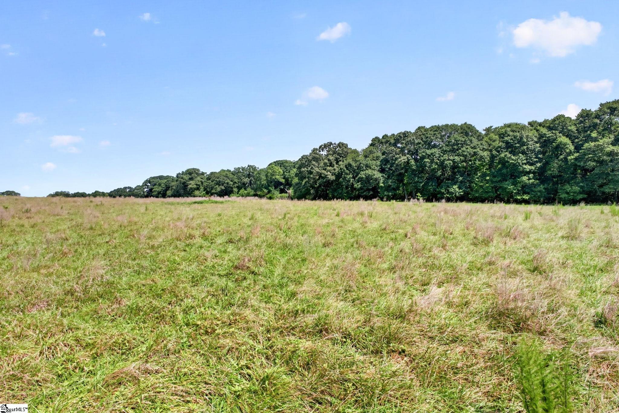 40 Log Shoals Road Property Photo 47