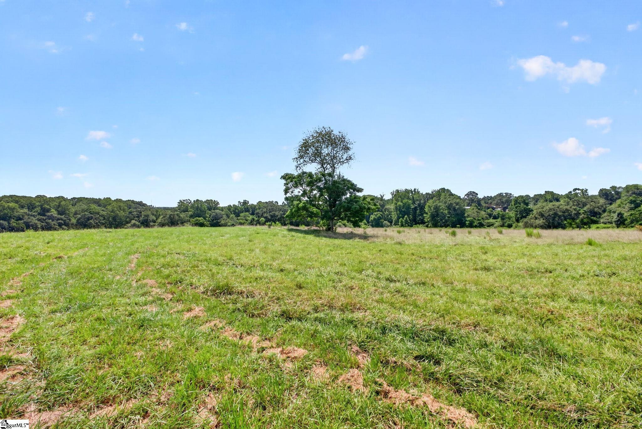 40 Log Shoals Road Property Photo 49