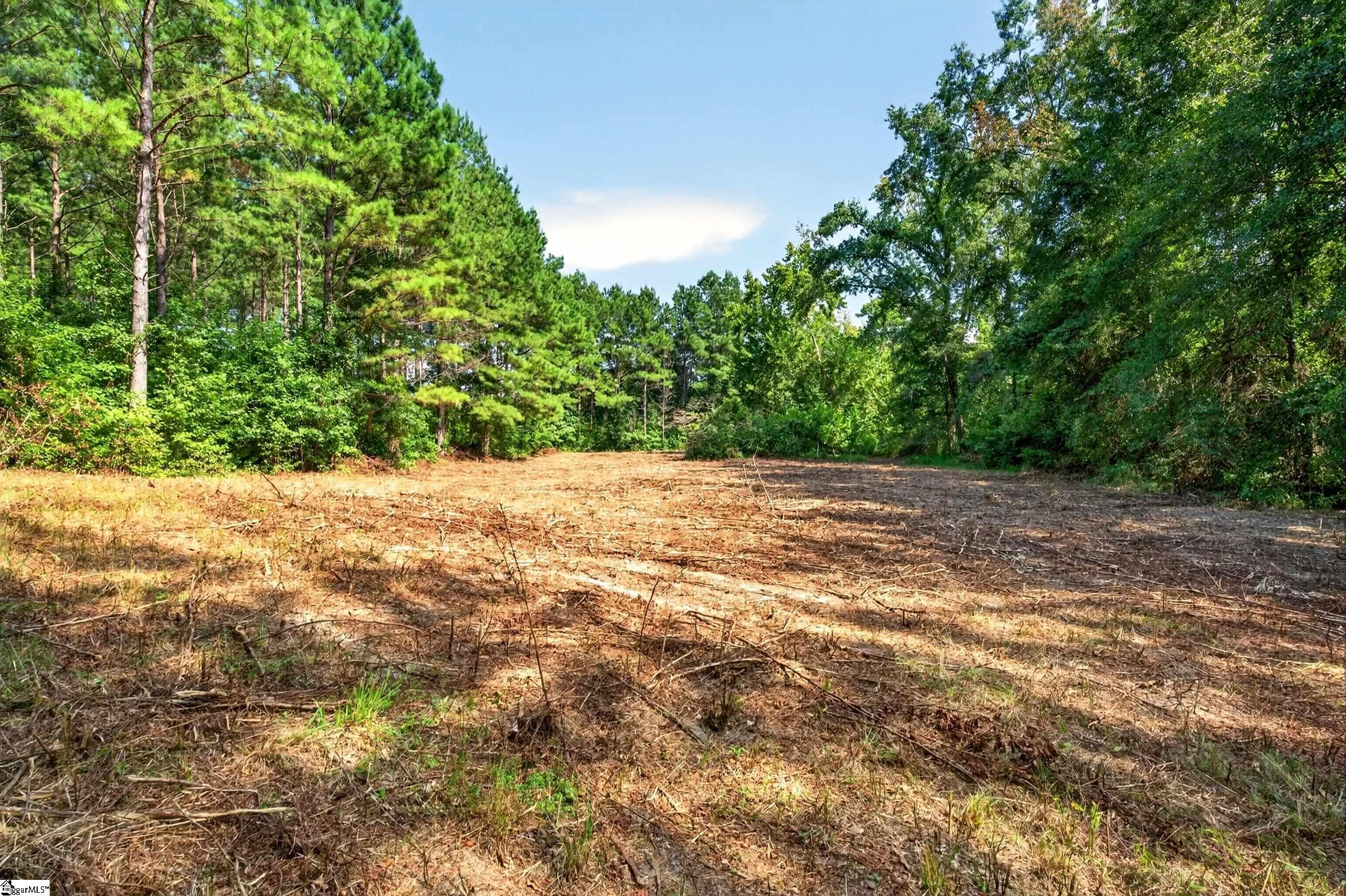 00 Todd Road Property Photo 11